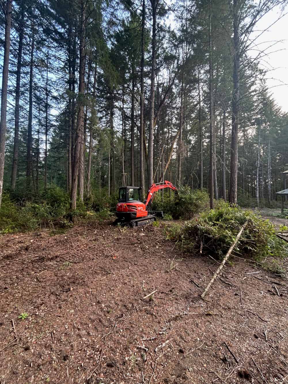 Forestry Mulching & Brush Clearing  image