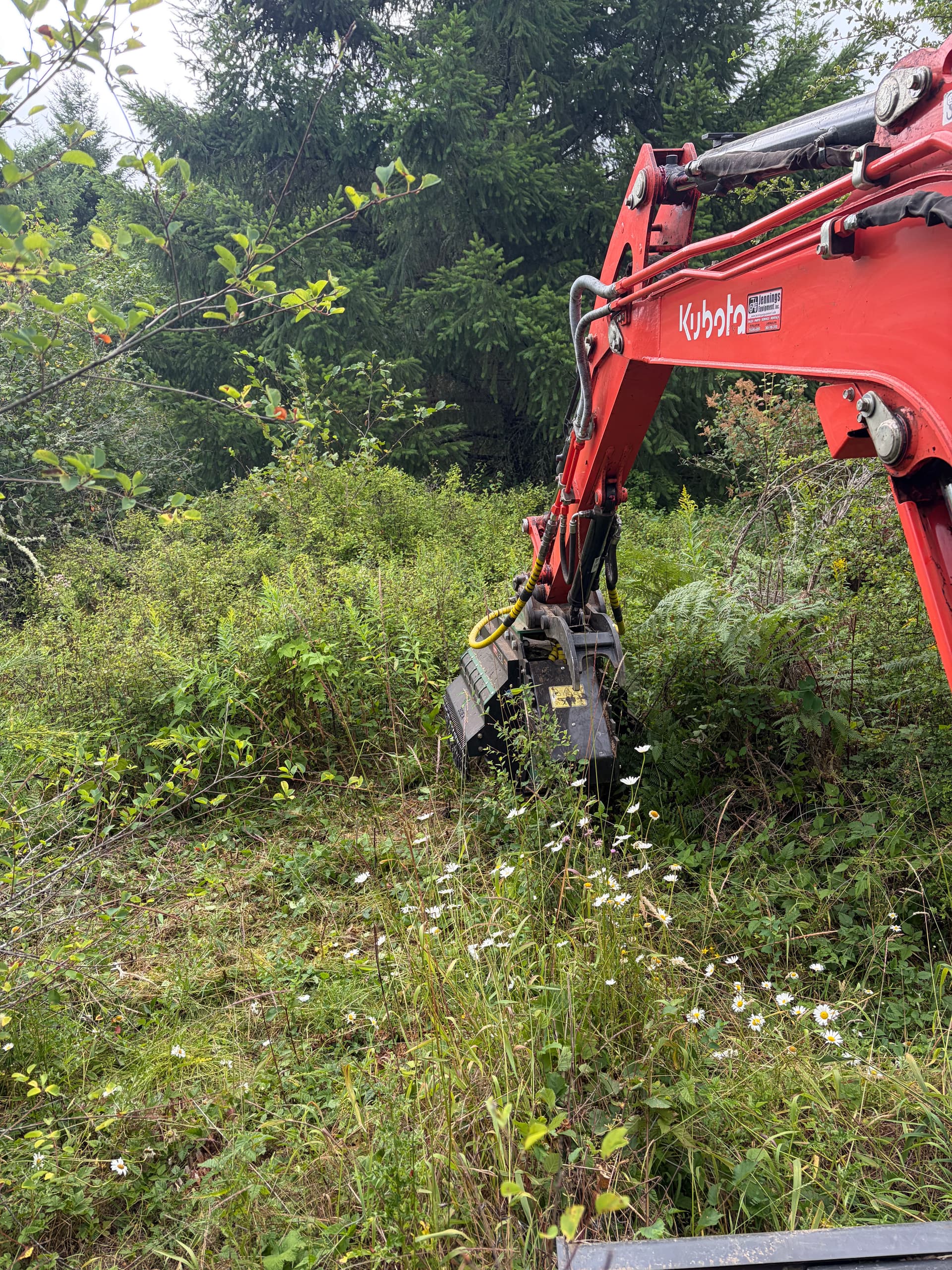 Gallery photos for Pasture Reclamation and Brush Clearing in Yelm WA: Image #1