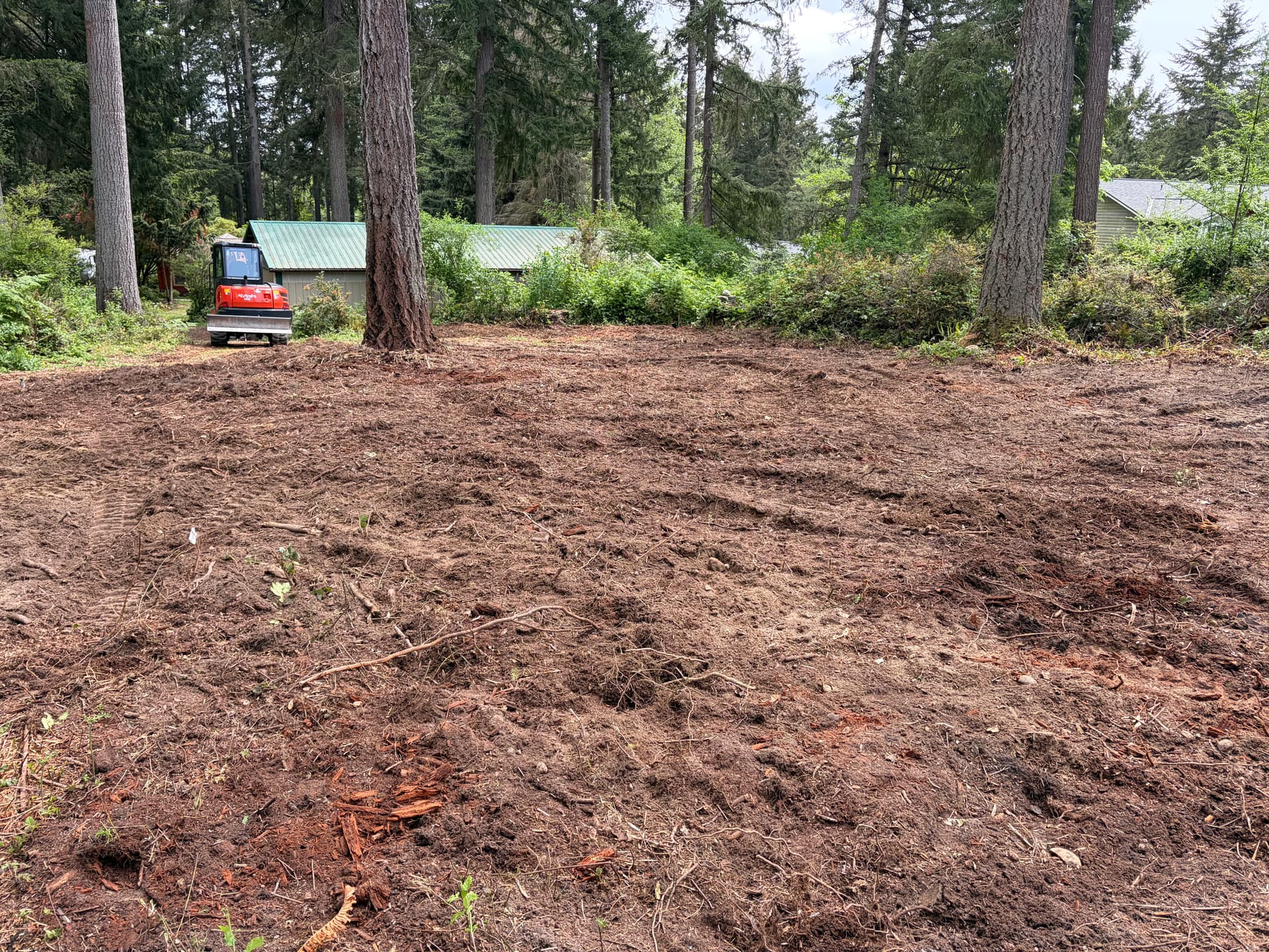 Overgrown Poulsbo Property Cleared Into Clean Usable Land image