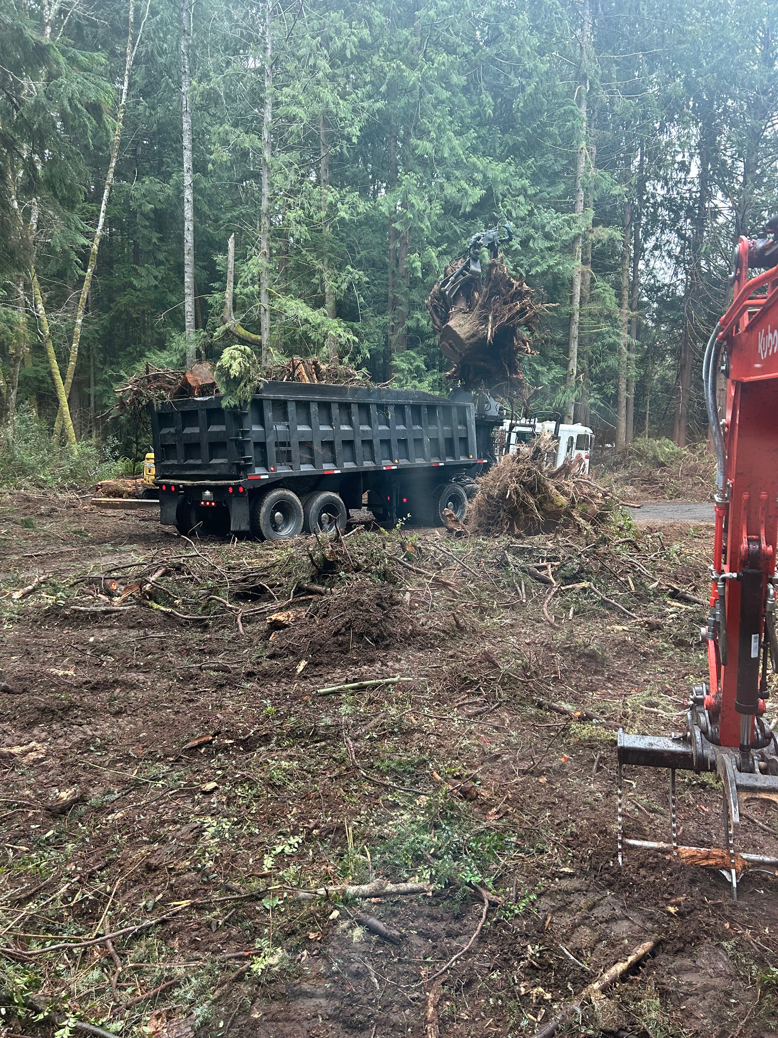 Project Efficient Land Clearing in Gig Harbor image
