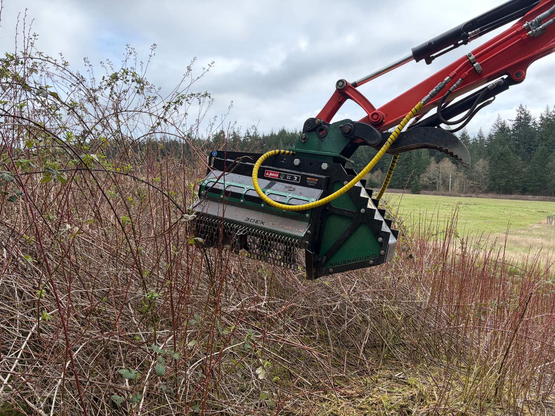Gallery photos for Clearing Blackberry Overgrowth on Whidbey Island: Image #2