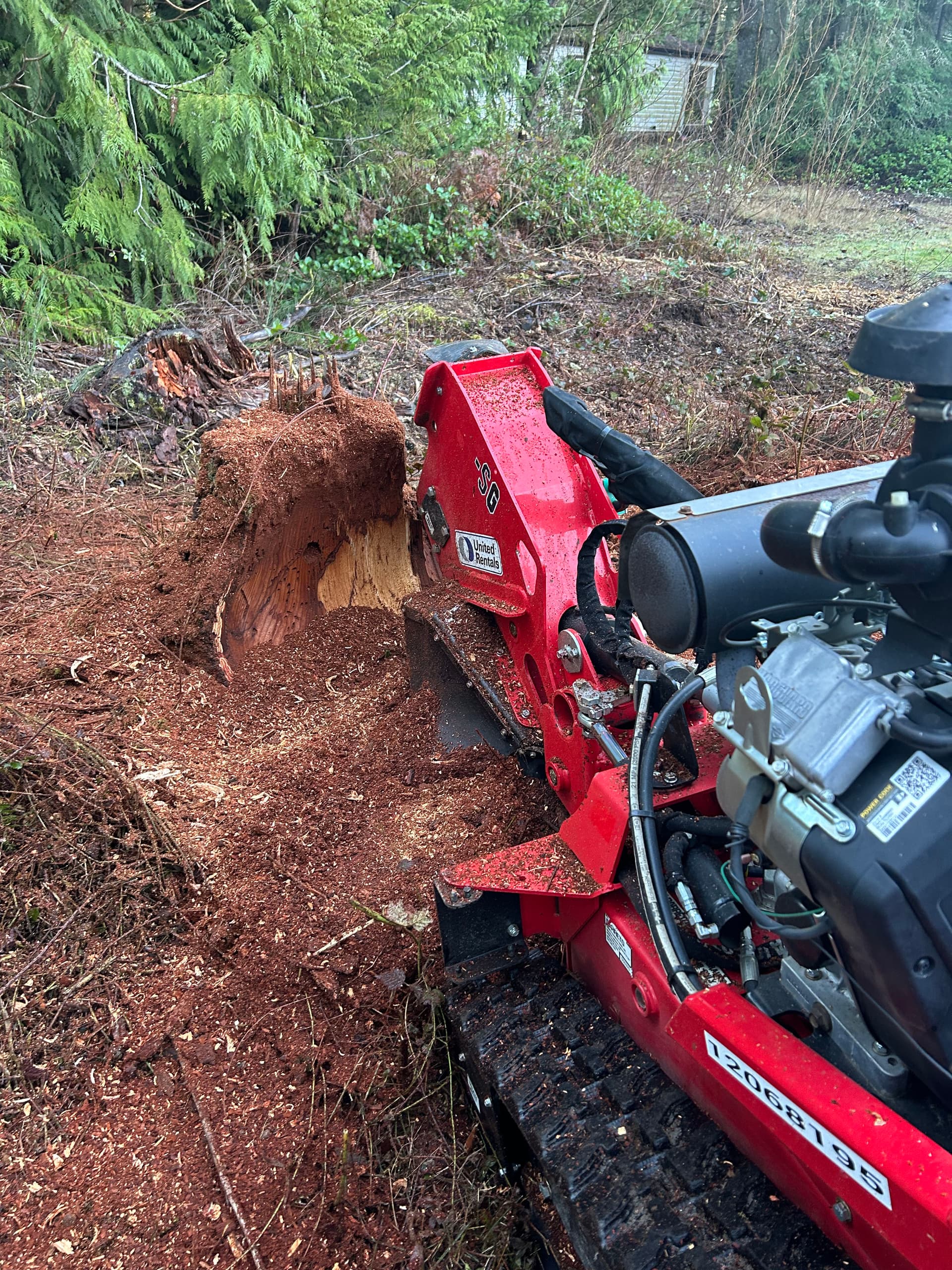 Gallery photos for Turning Stubborn Stumps into Clear Land in Pt. Orchard: Image #1