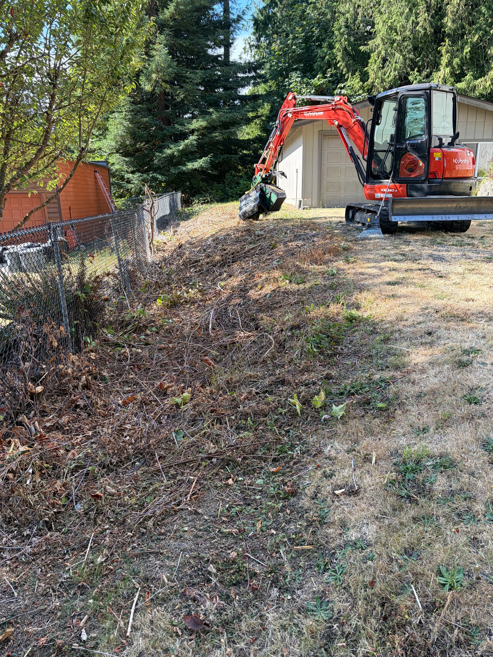 Gallery photos for Blackberry Jungle Cleared and Mulched in Olalla: Image #1