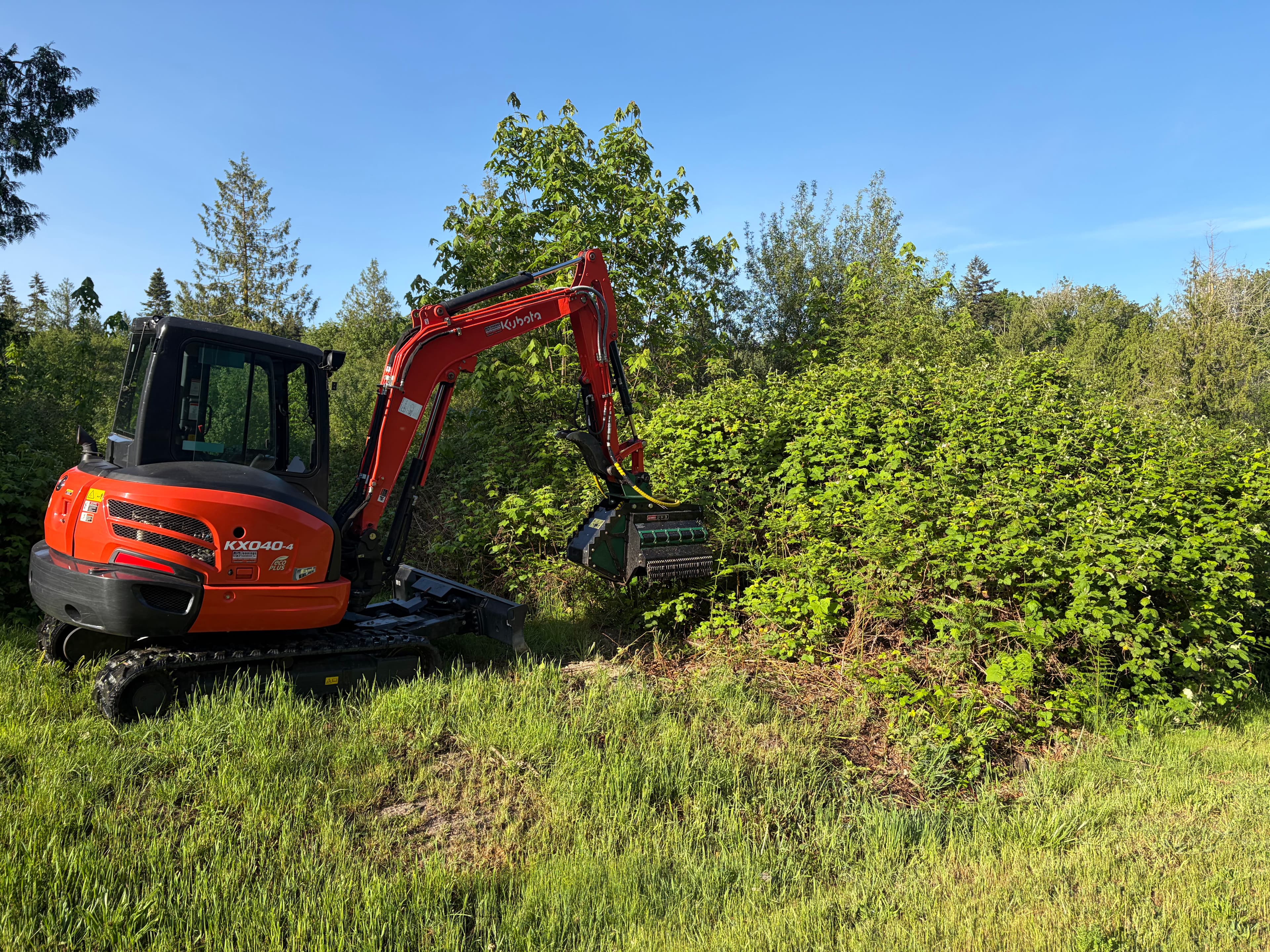 Project Blackberry Bramble Cleared Away from an Access Road in Pt. Hadlock image