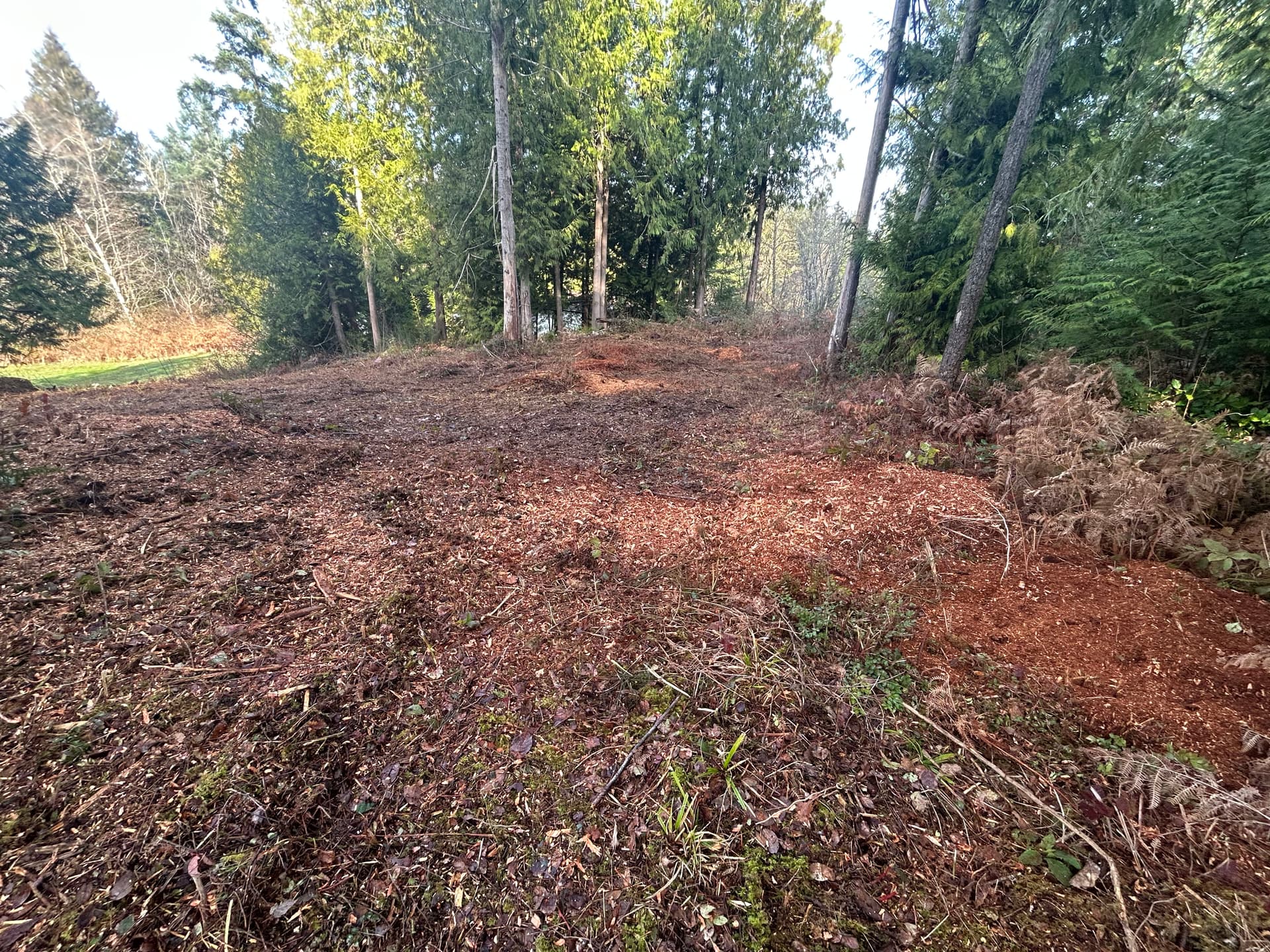 Gallery photos for Turning Stubborn Stumps into Clear Land in Pt. Orchard: Image #3