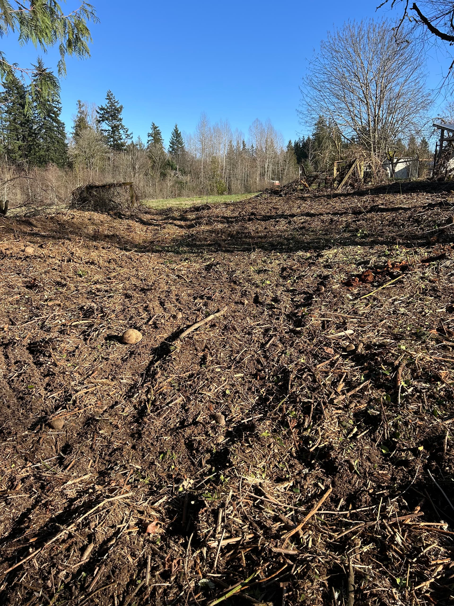 Gallery photos for Transforming Overgrown Land into Usable Space in Graham, WA: Image #6