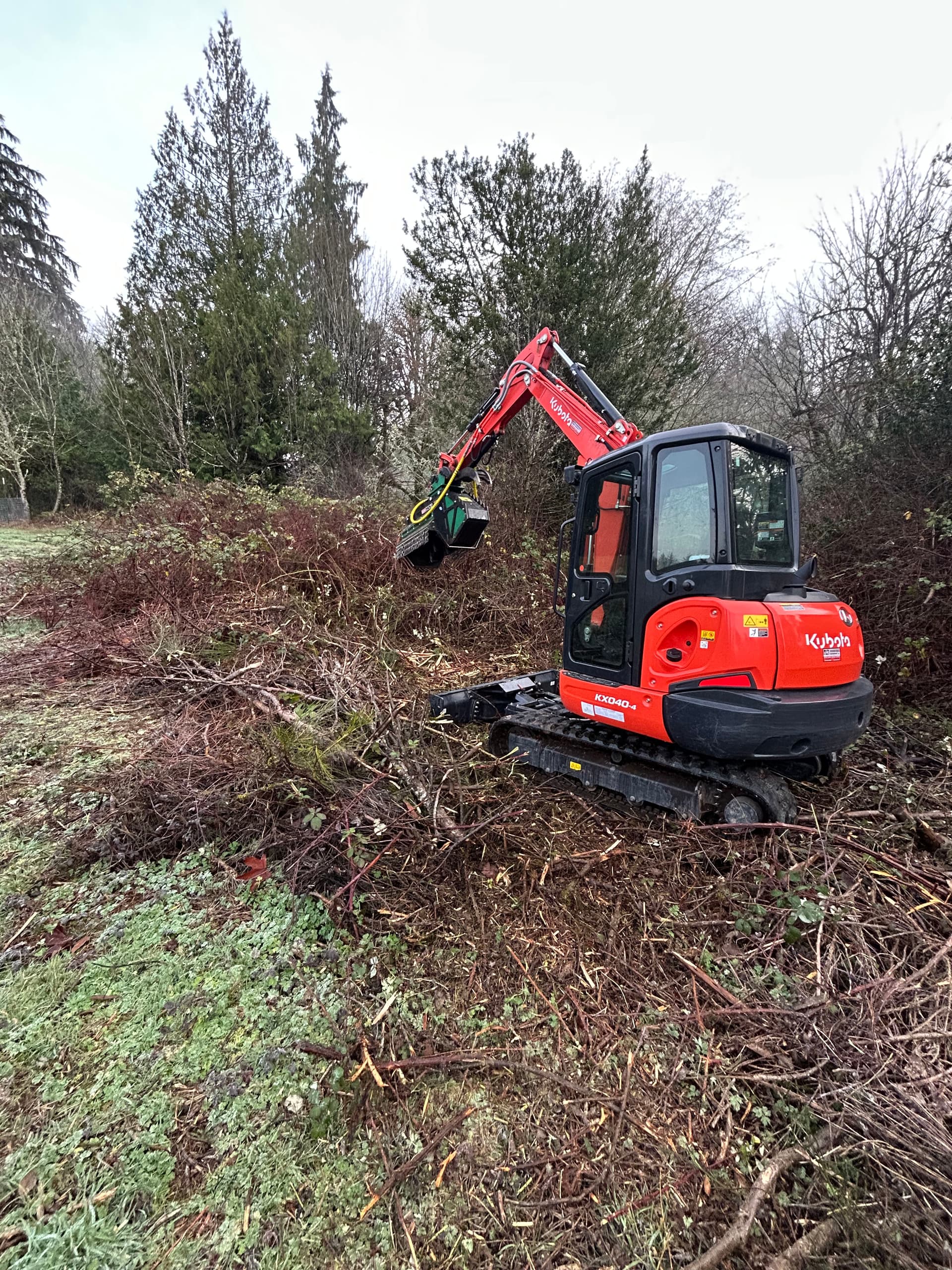 Gallery photos for Revamping Overgrown Spaces in Port Orchard: Image #2