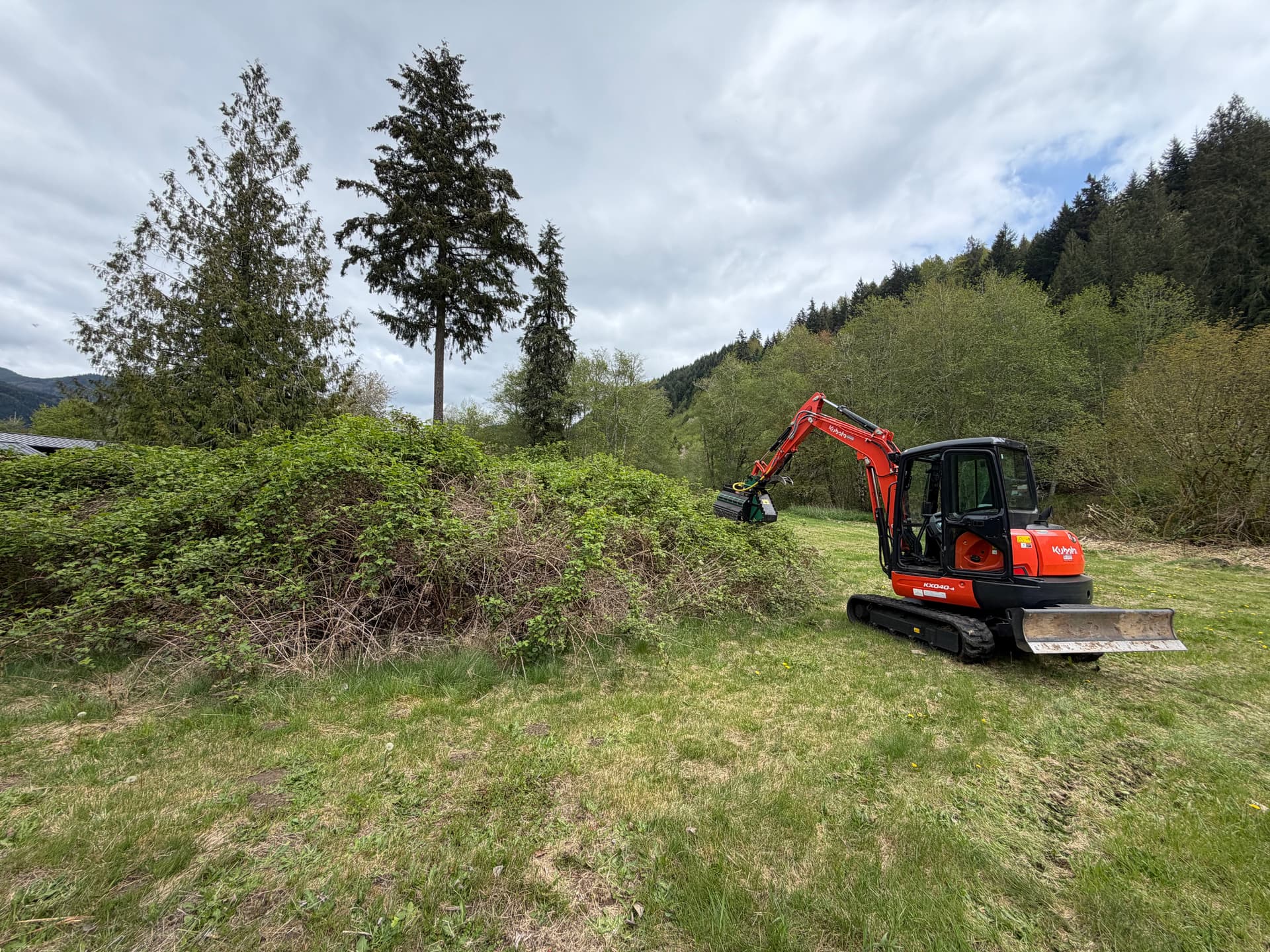 Gallery photos for Blackberry Overgrowth Cleared for a New Home Build: Image #2
