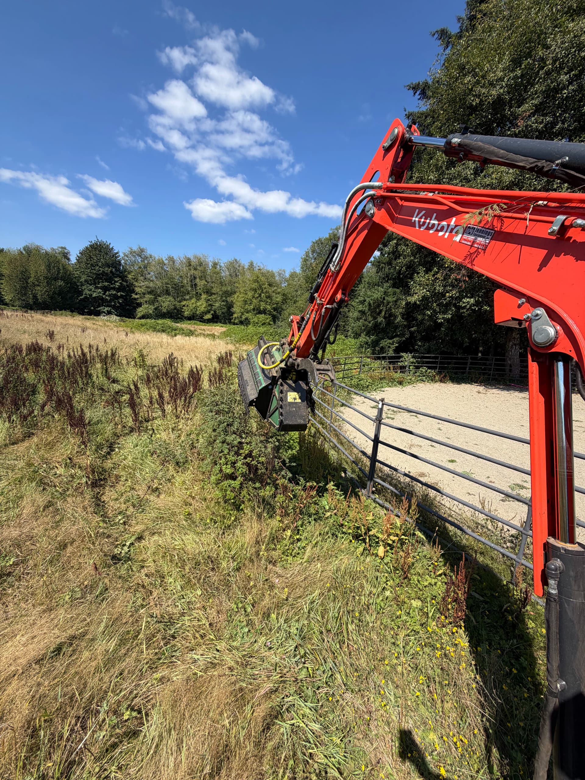 Gallery photos for Pasture Reclamation and Trail Clearing in Belfair WA: Image #1
