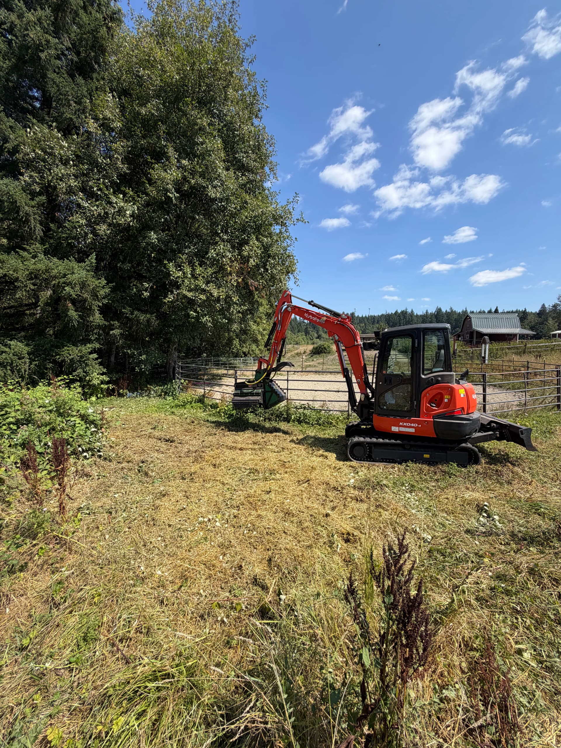 Pasture Reclamation and Trail Clearing in Belfair WA image