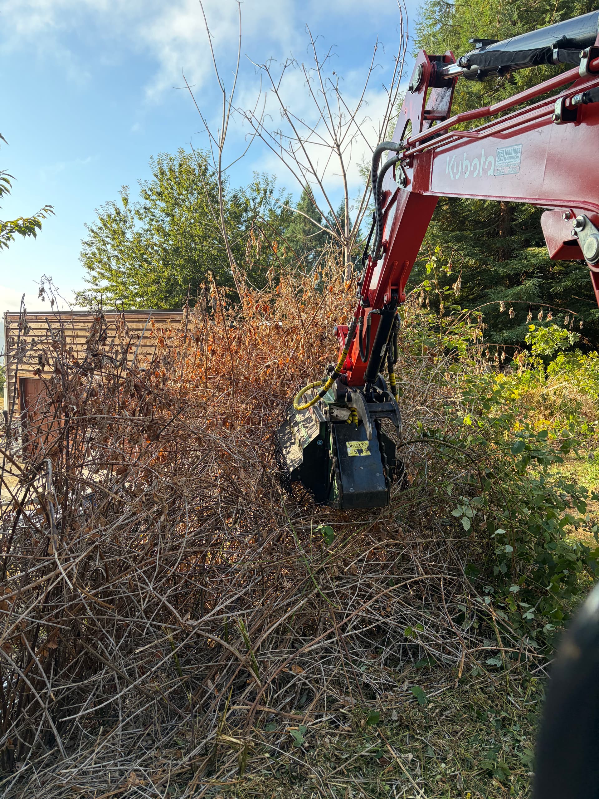 Gallery photos for Blackberry Jungle Cleared and Mulched in Olalla: Image #4