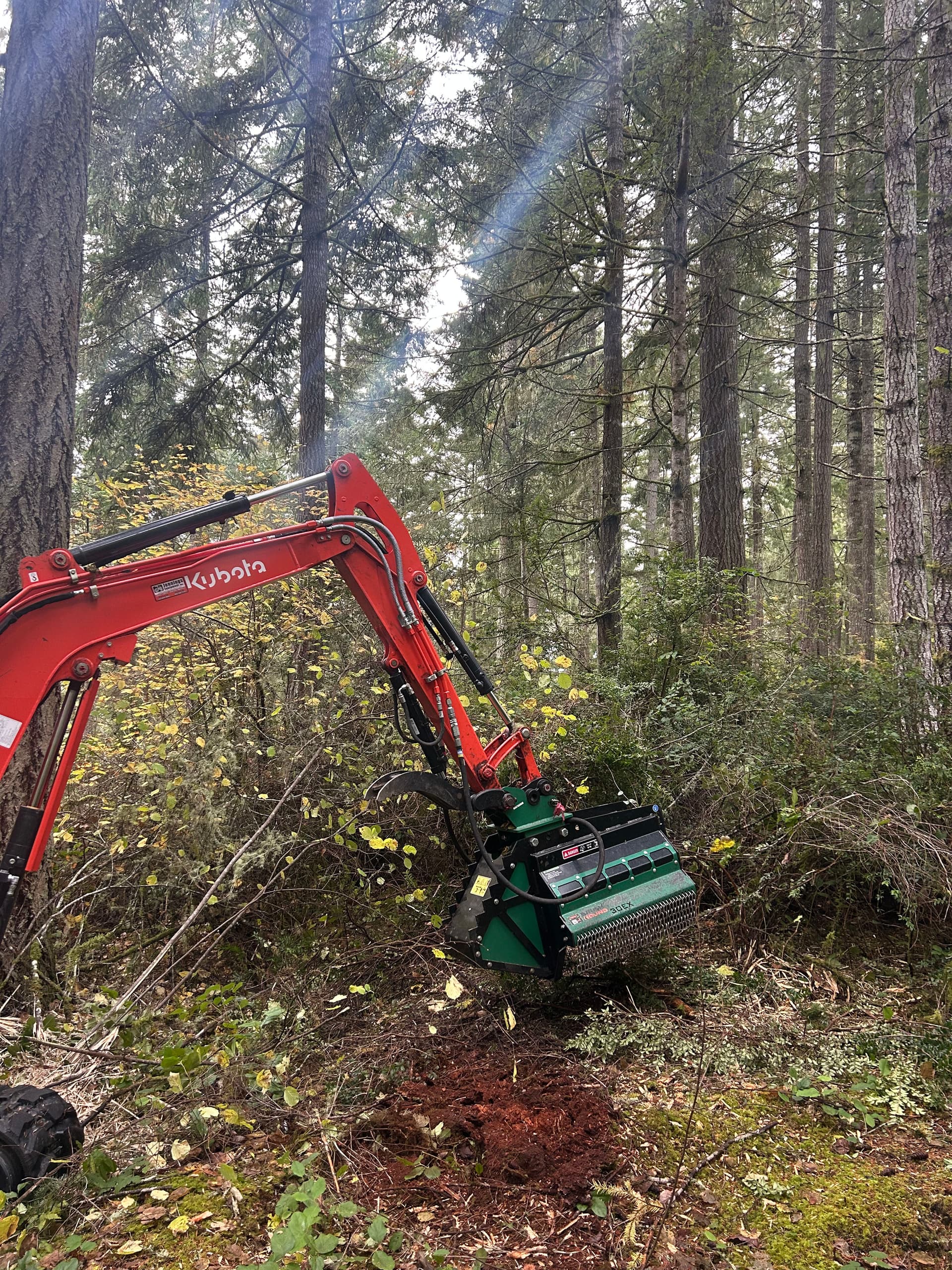 Gallery photos for Forestry Mulching and Brush Cleanup in Gig Harbor: Image #2