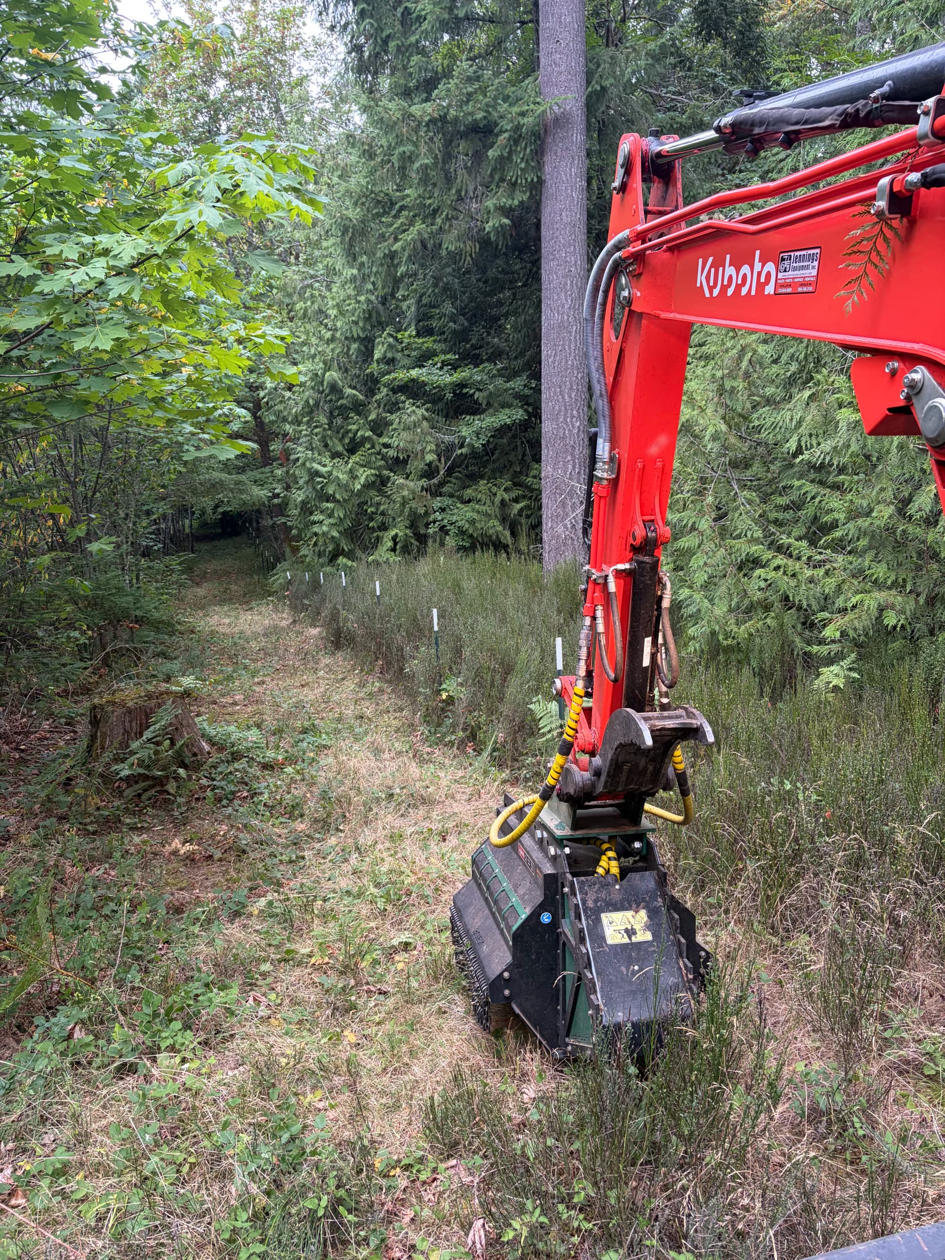 Gallery photos for Pasture Reclamation and Trail Clearing in Belfair WA: Image #3