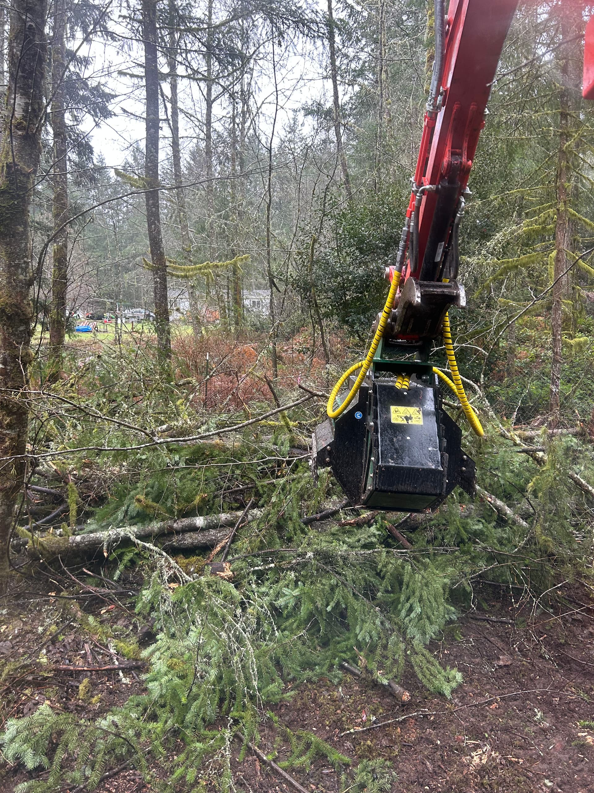 Gallery photos for Rainy Day Transformation in Port Orchard - Clearing New Paths: Image #1