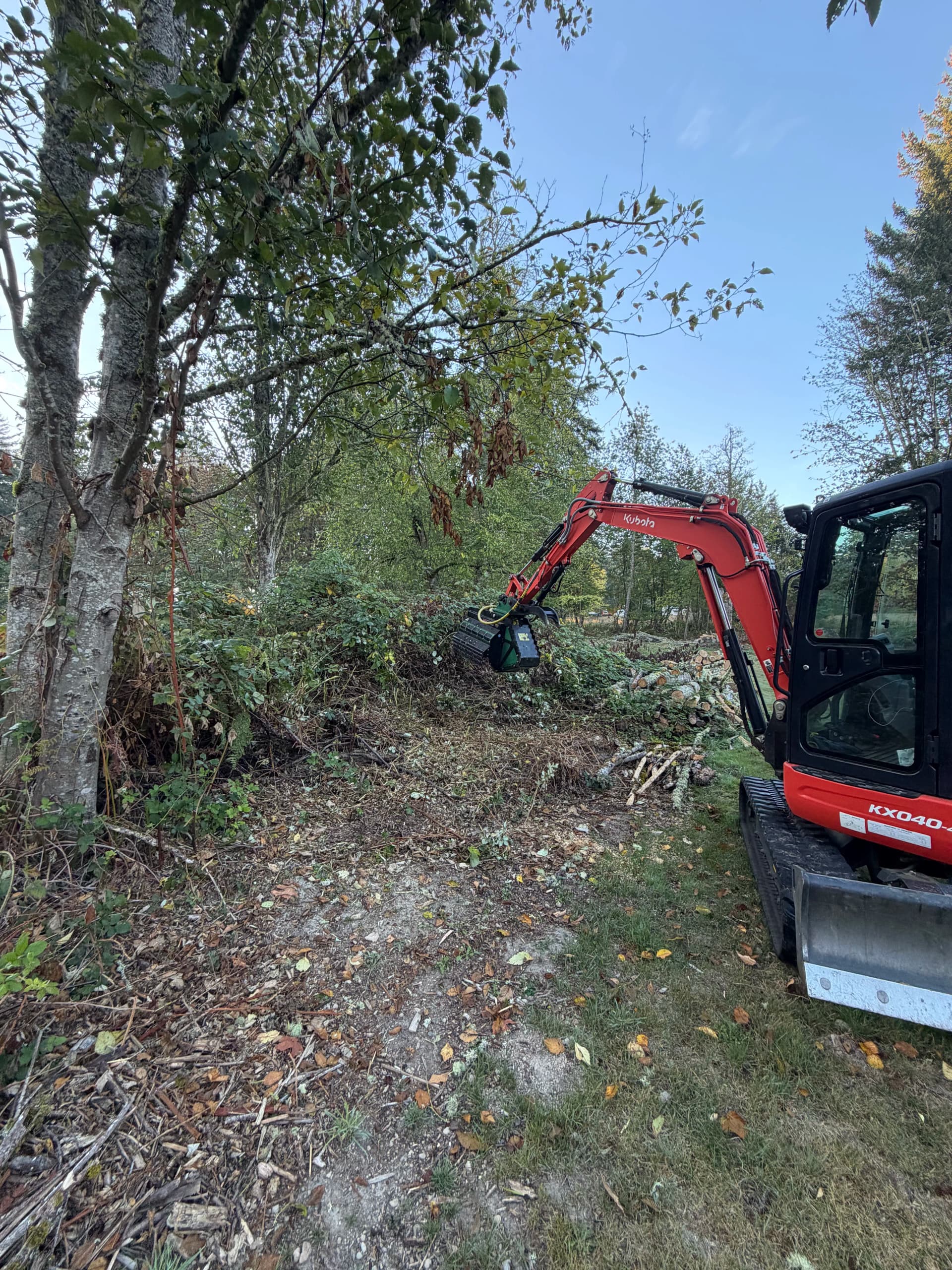 Gallery photos for Blackberry Bramble Cleared Out in Eatonville: Image #1