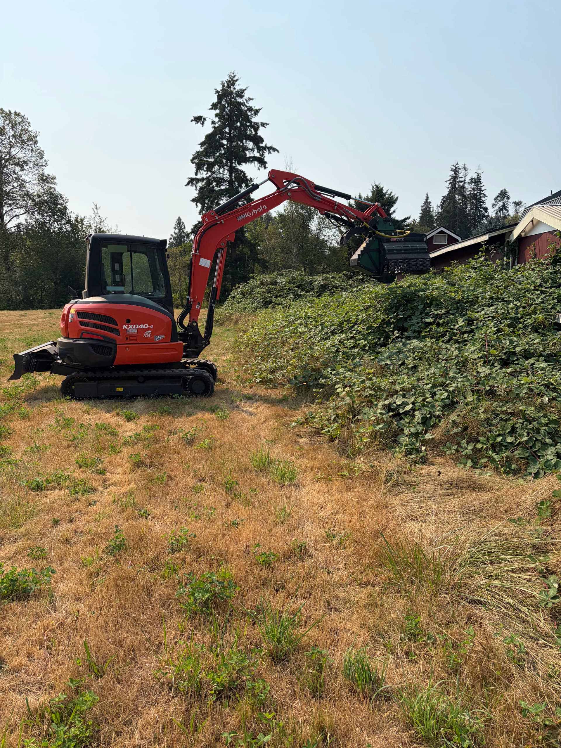 Gallery photos for Pasture Reclamation and Trail Clearing in Belfair WA: Image #6