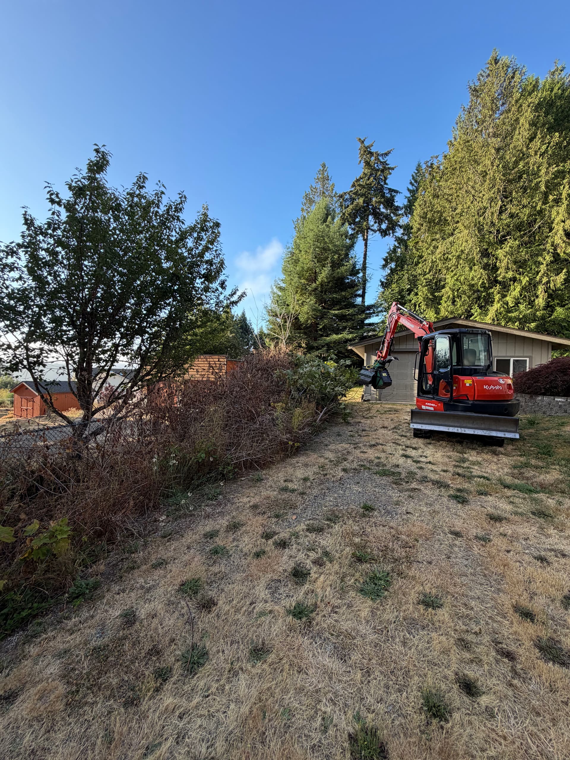 Gallery photos for Blackberry Jungle Cleared and Mulched in Olalla: Image #3