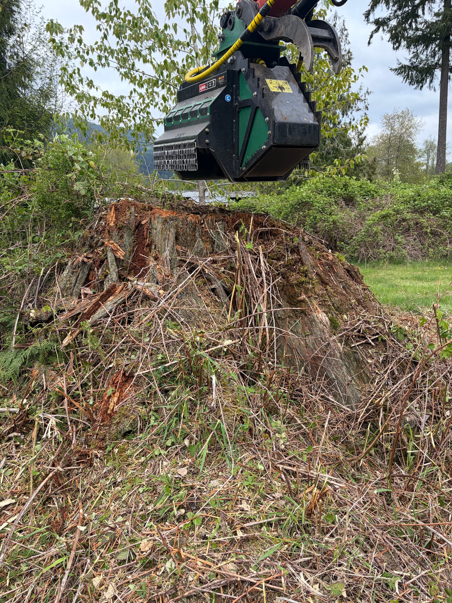 Gallery photos for Blackberry Overgrowth Cleared for a New Home Build: Image #3