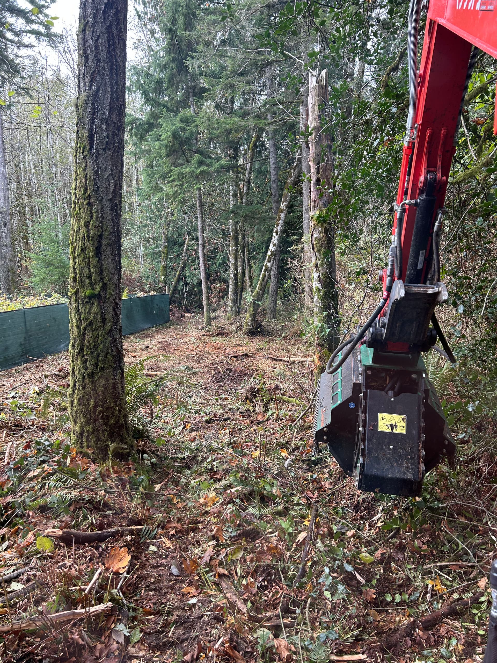 Gallery photos for Forestry Mulching in Southworth WA: Image #2