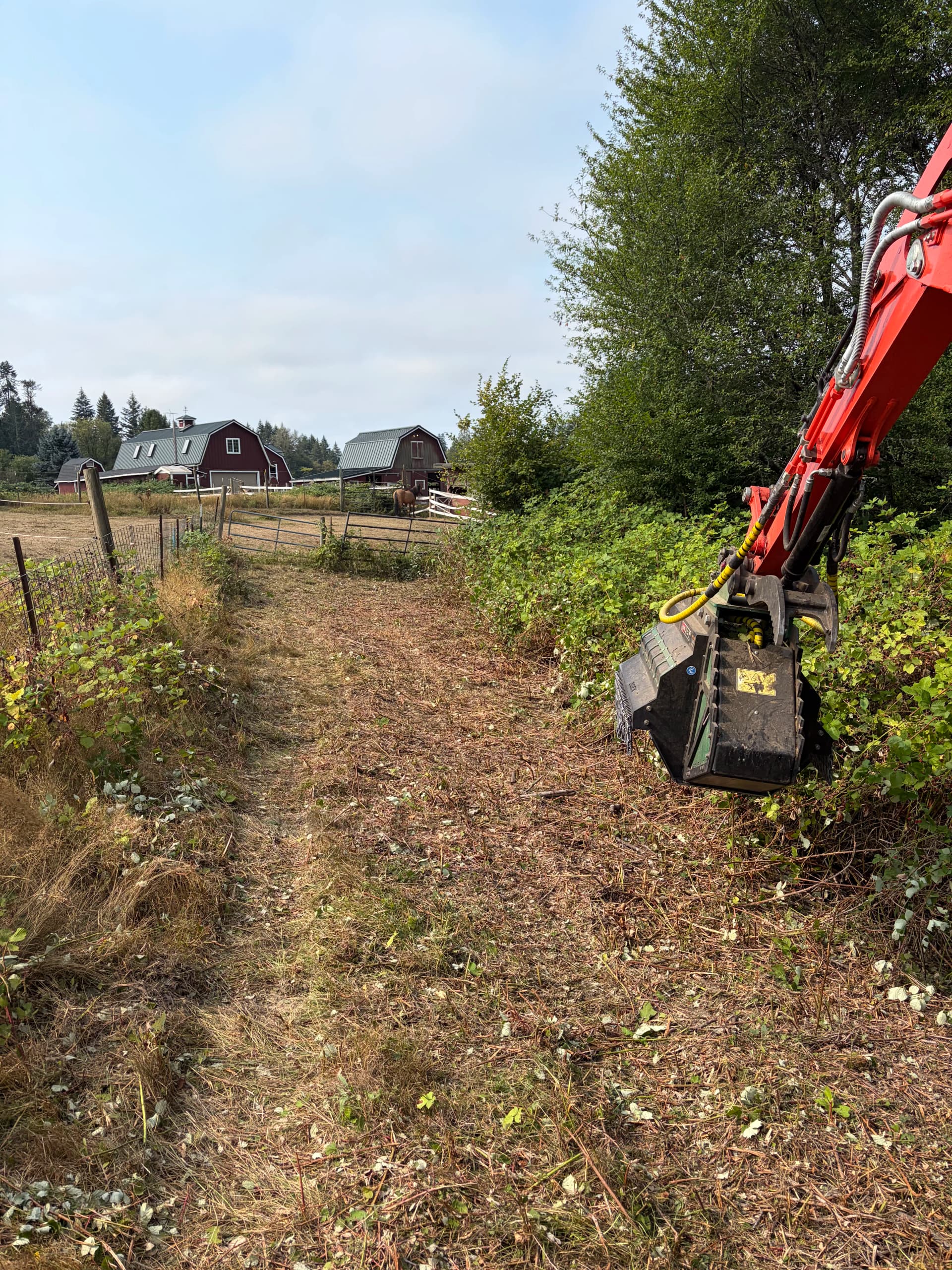 Gallery photos for Pasture Reclamation and Trail Clearing in Belfair WA: Image #7