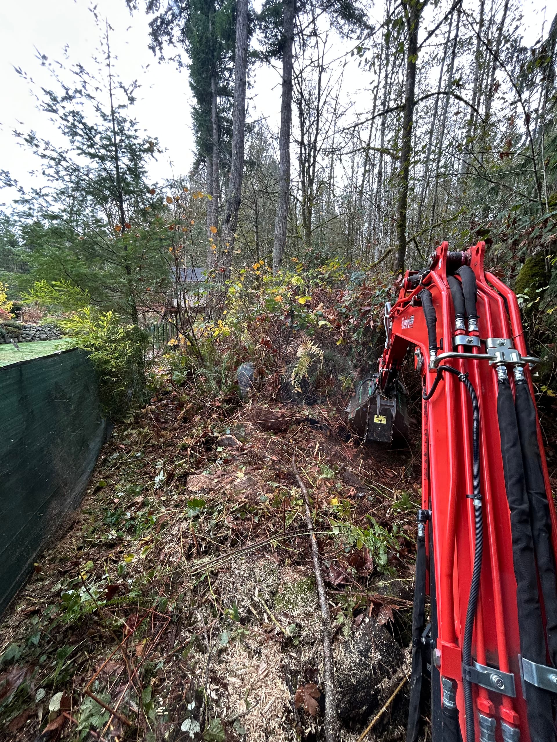 Gallery photos for Forestry Mulching in Southworth WA: Image #1