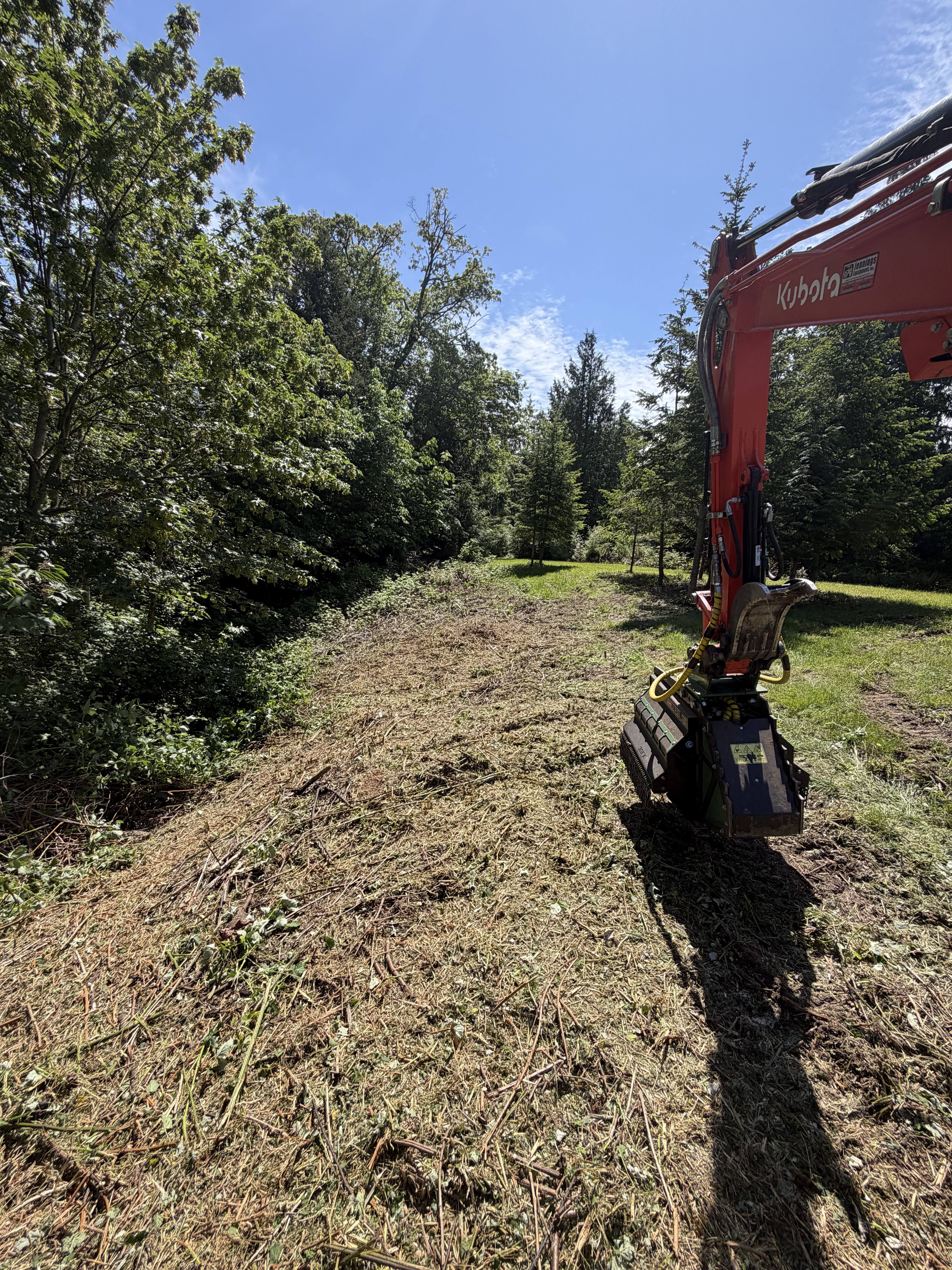 Gallery photos for Blackberry Bramble Cleared Away from an Access Road in Pt. Hadlock: Image #4