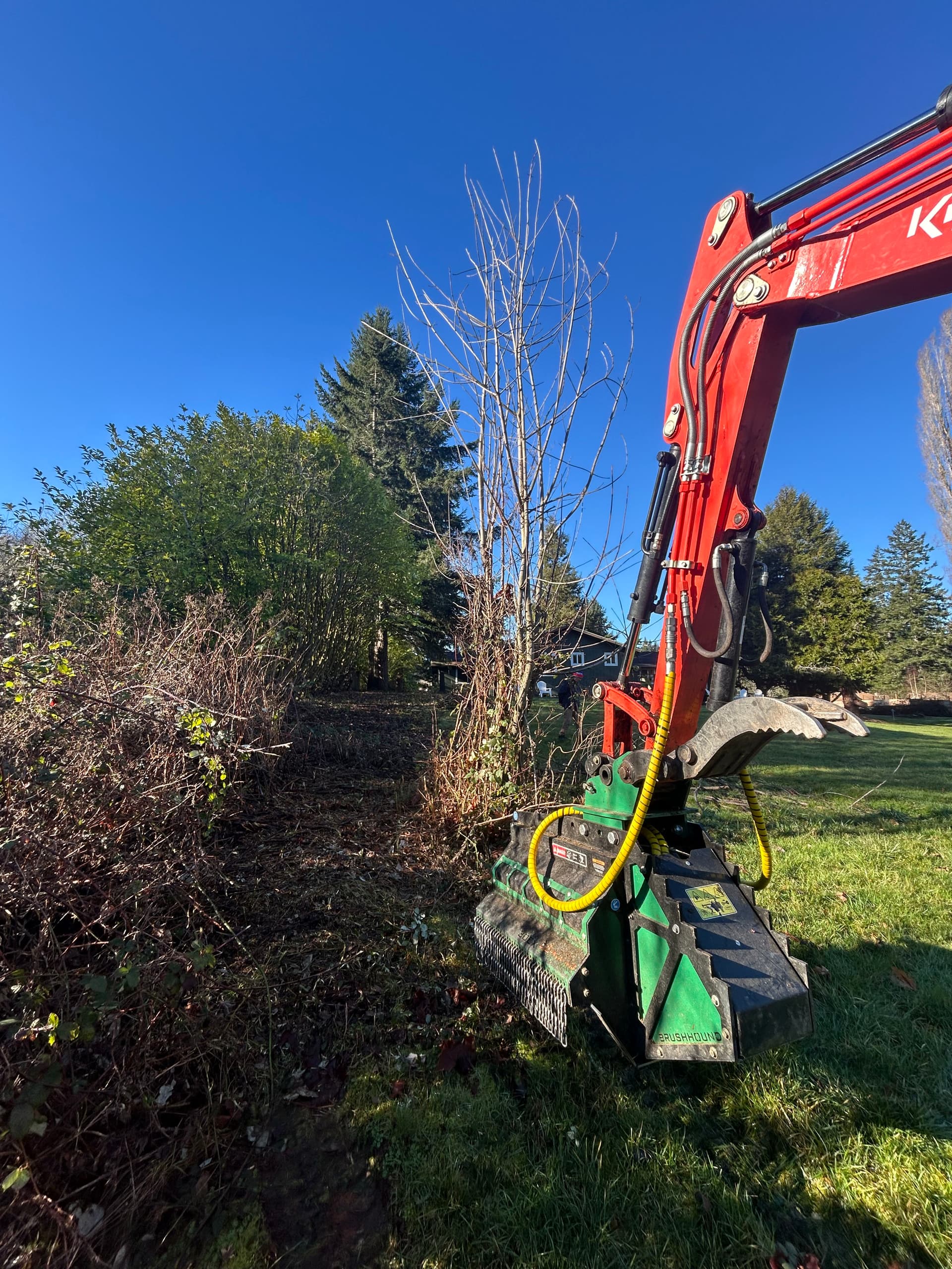 Gallery photos for Revamping Overgrown Spaces in Port Orchard: Image #4