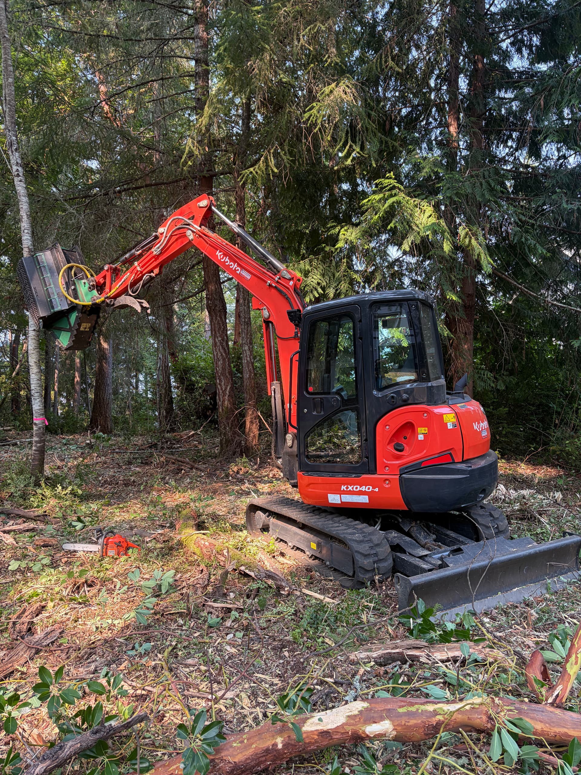 Gallery photos for Overgrown Lot Cleared and Ready in Longbranch WA: Image #4