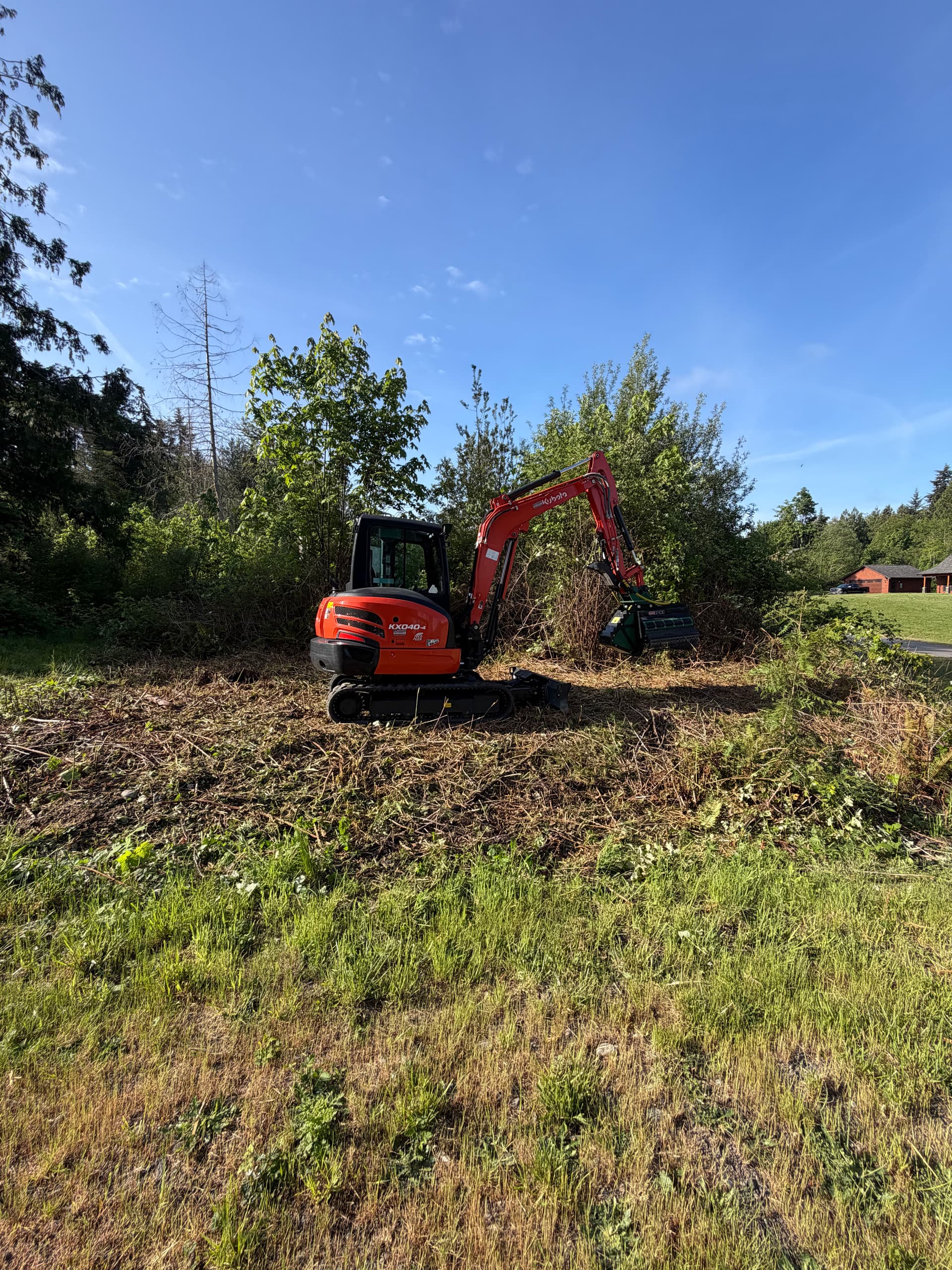 Gallery photos for Blackberry Bramble Cleared Away from an Access Road in Pt. Hadlock: Image #2