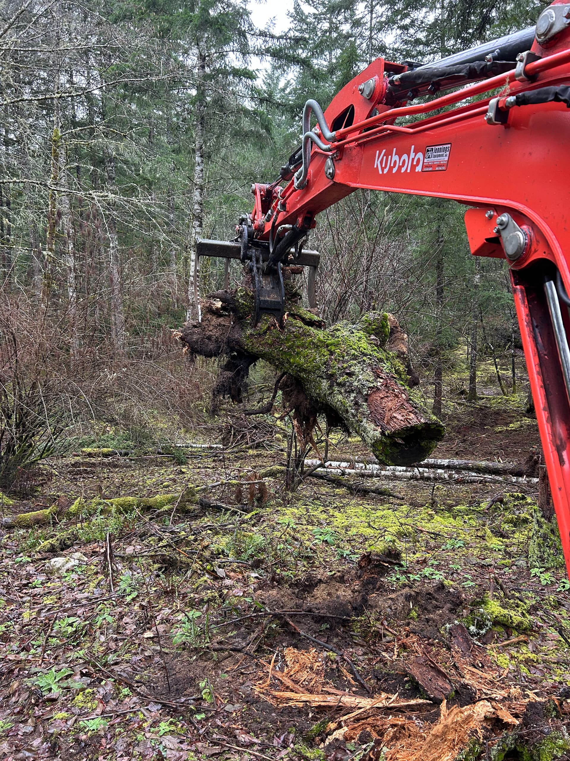 Gallery photos for Rainy Day Transformation in Port Orchard - Clearing New Paths: Image #4