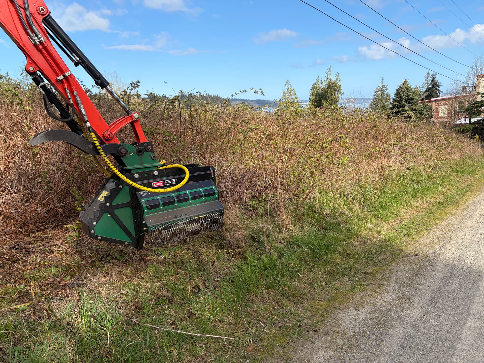 Gallery photos for 3 Acres of Blackberry Overgrowth Cleared in Port Hadlock: Image #2