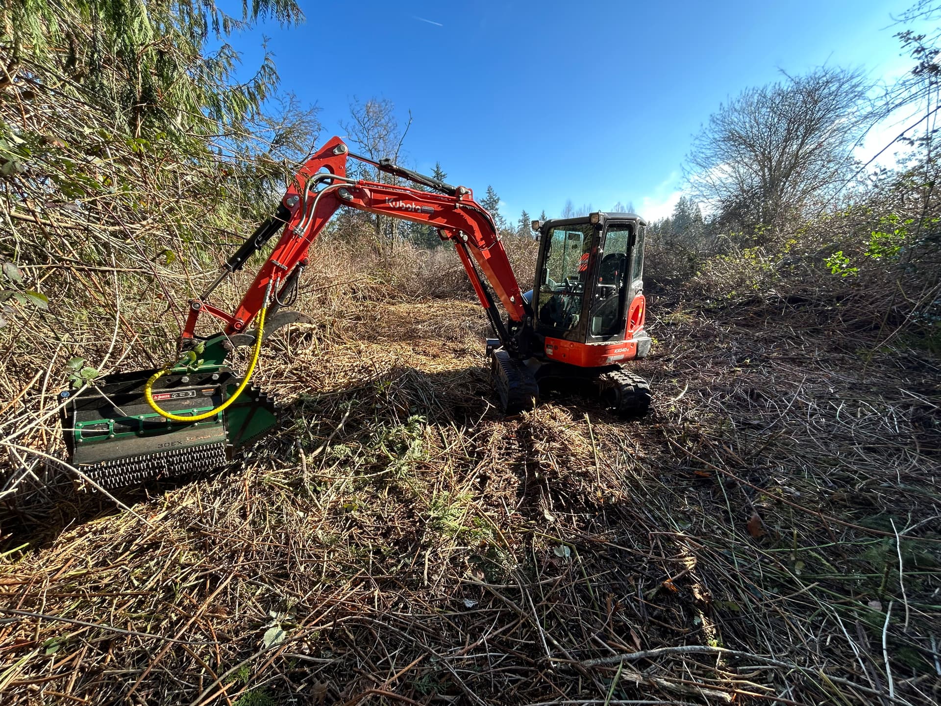 Transforming Overgrown Land into Usable Space in Graham, WA
