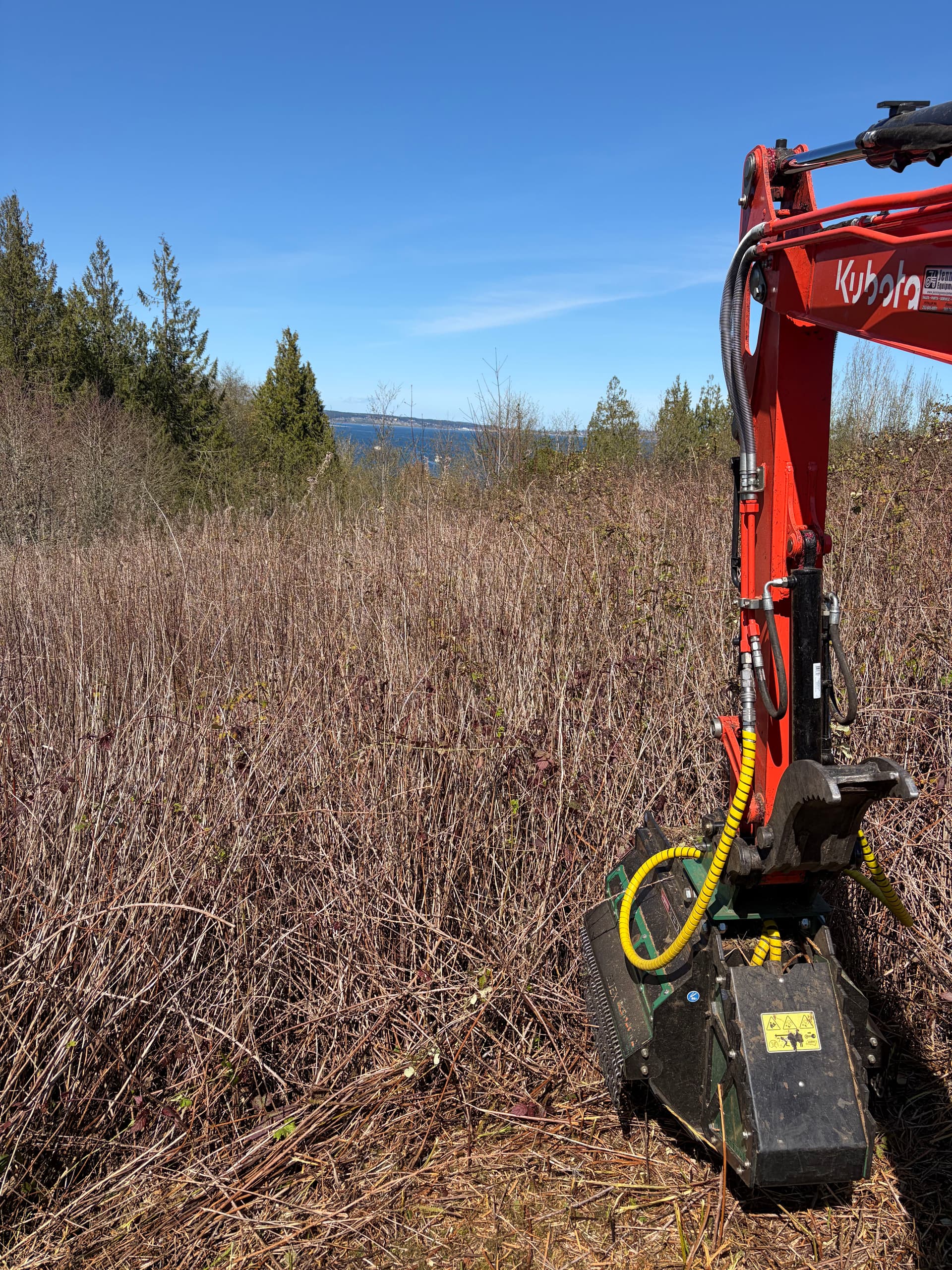 Gallery photos for 3 Acres of Blackberry Overgrowth Cleared in Port Hadlock: Image #3