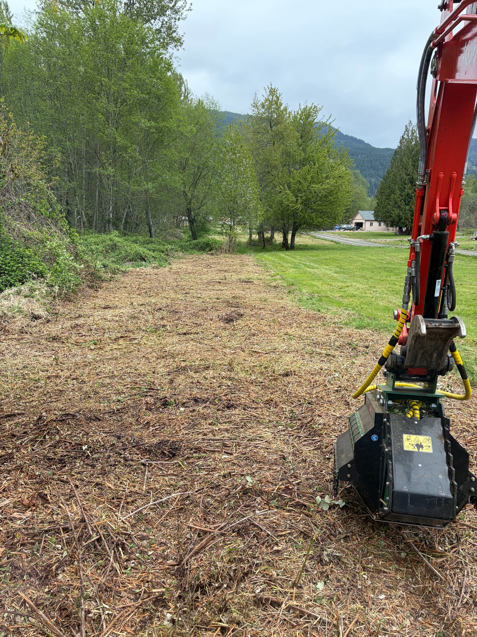 Gallery photos for Blackberry Overgrowth Cleared for a New Home Build: Image #1