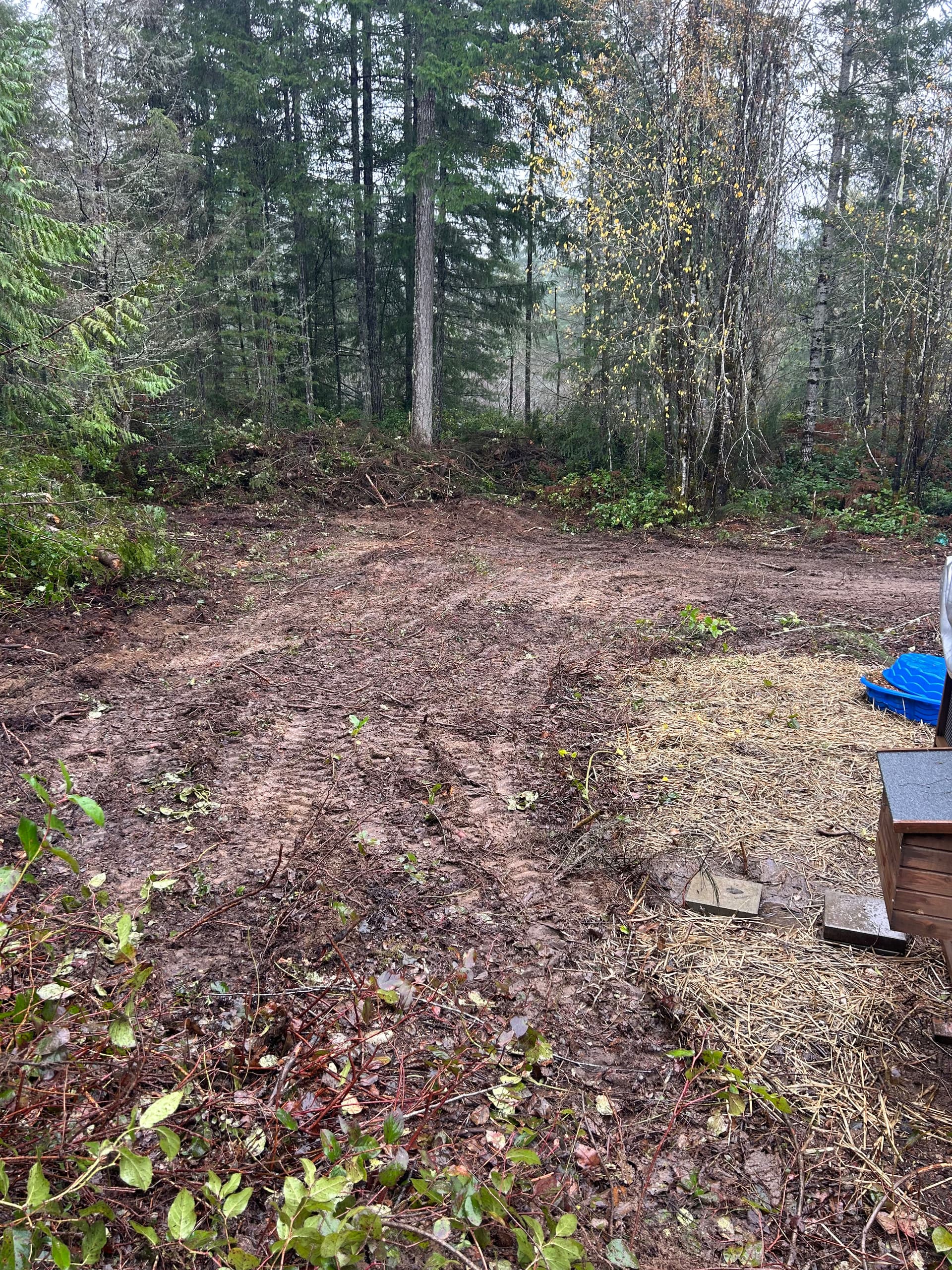 Backyard Brush Clearing in Seabeck WA