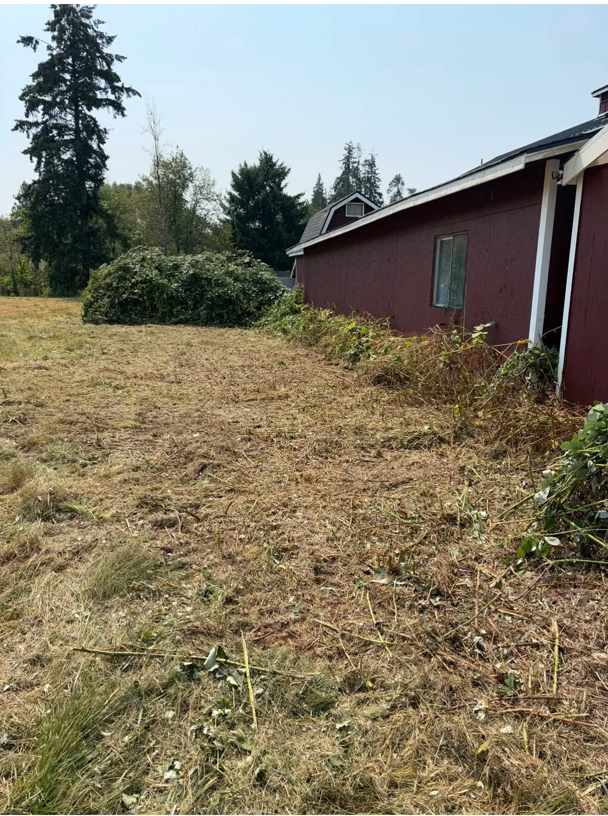 Gallery photos for Pasture Reclamation and Trail Clearing in Belfair WA: Image #4