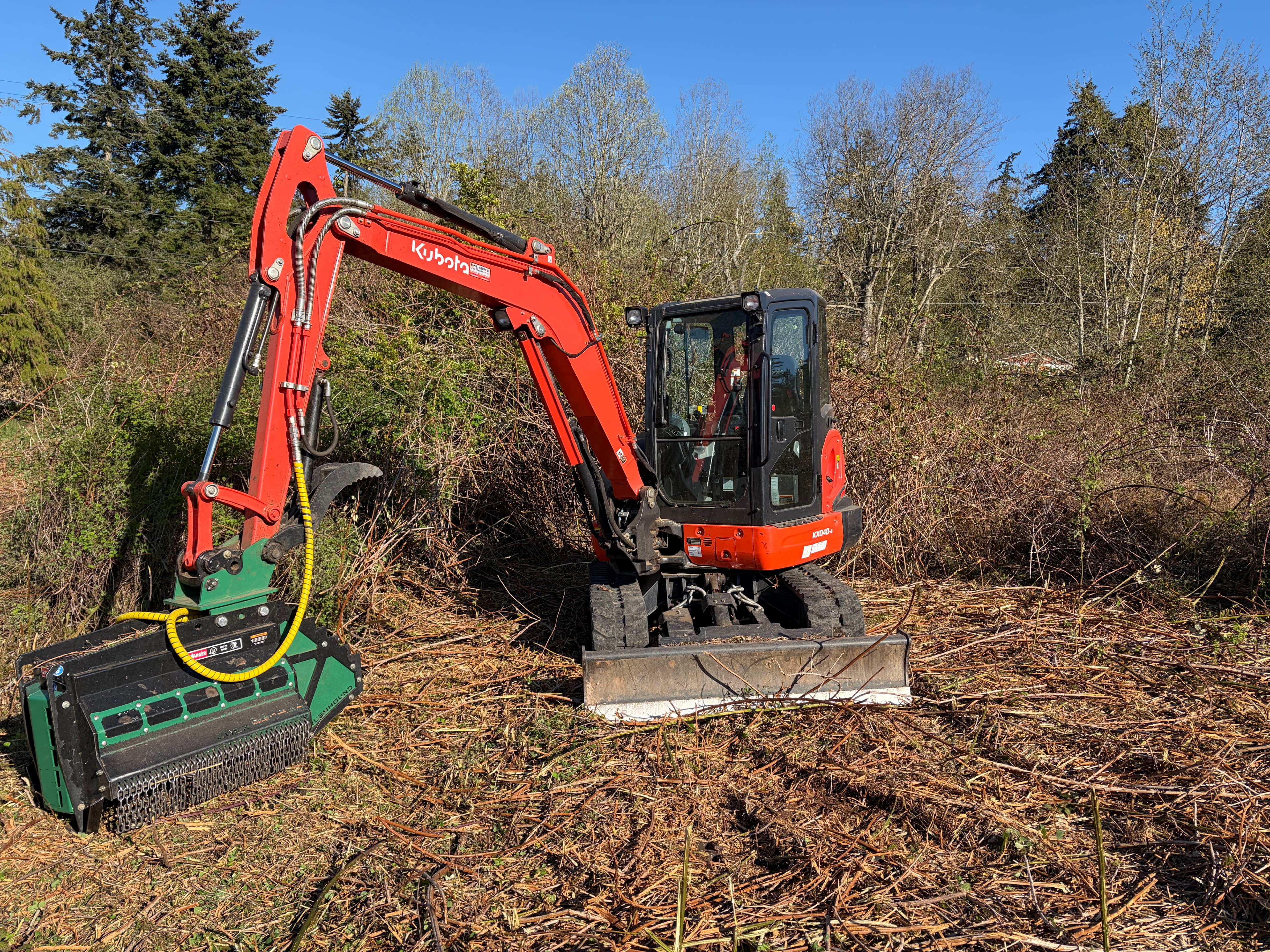 Project 3 Acres of Blackberry Overgrowth Cleared in Port Hadlock image