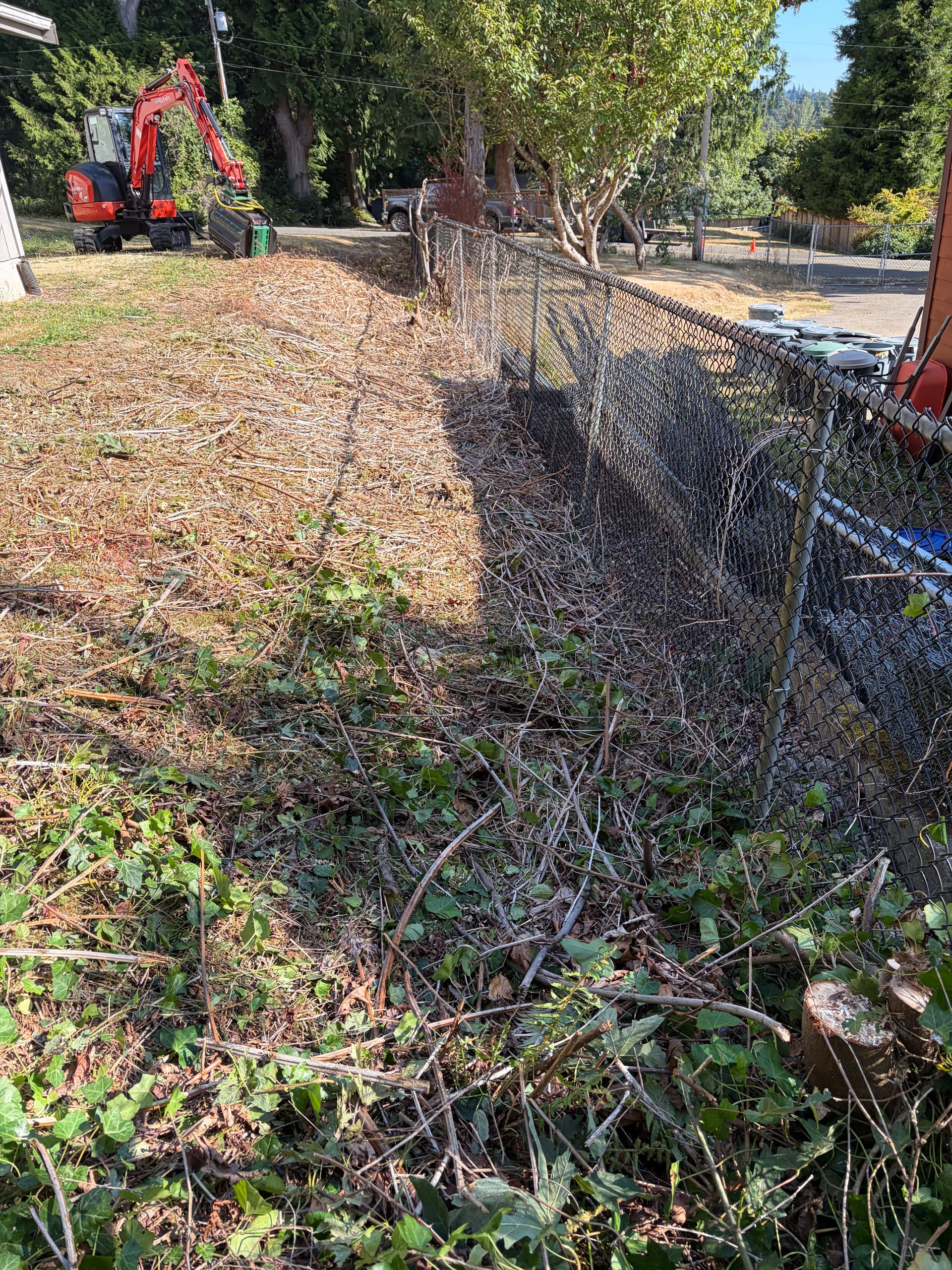 Gallery photos for Blackberry Jungle Cleared and Mulched in Olalla: Image #5