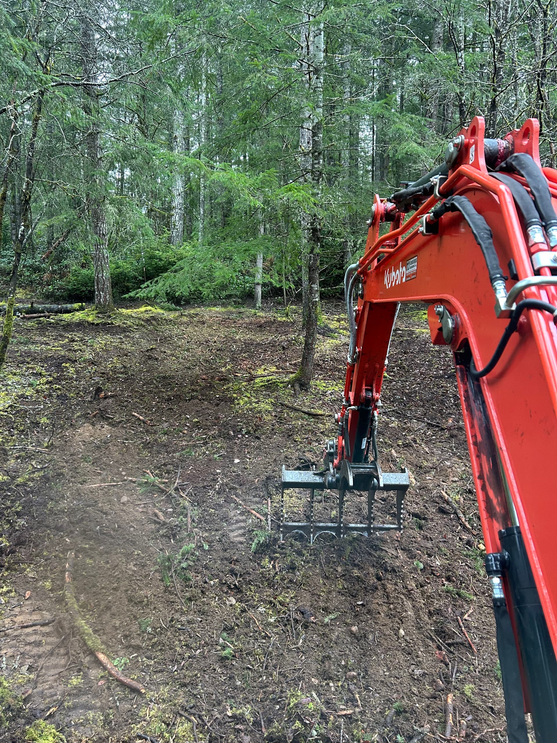 Gallery photos for Rainy Day Transformation in Port Orchard - Clearing New Paths: Image #2