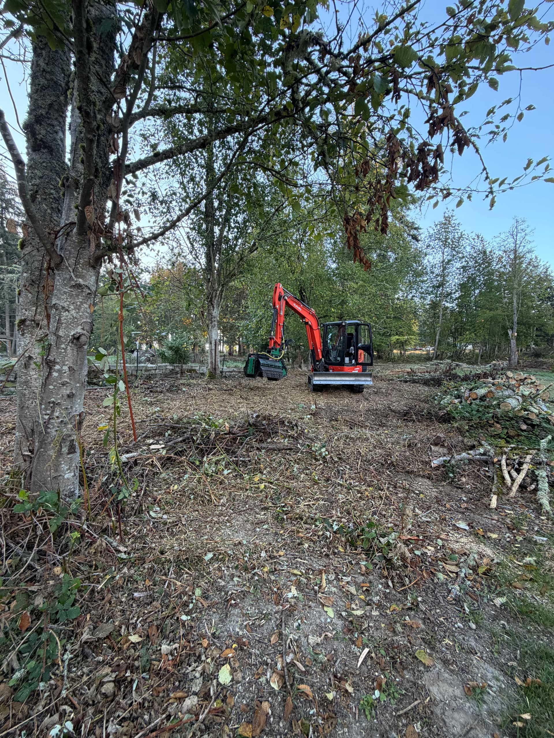 Gallery photos for Blackberry Bramble Cleared Out in Eatonville: Image #2