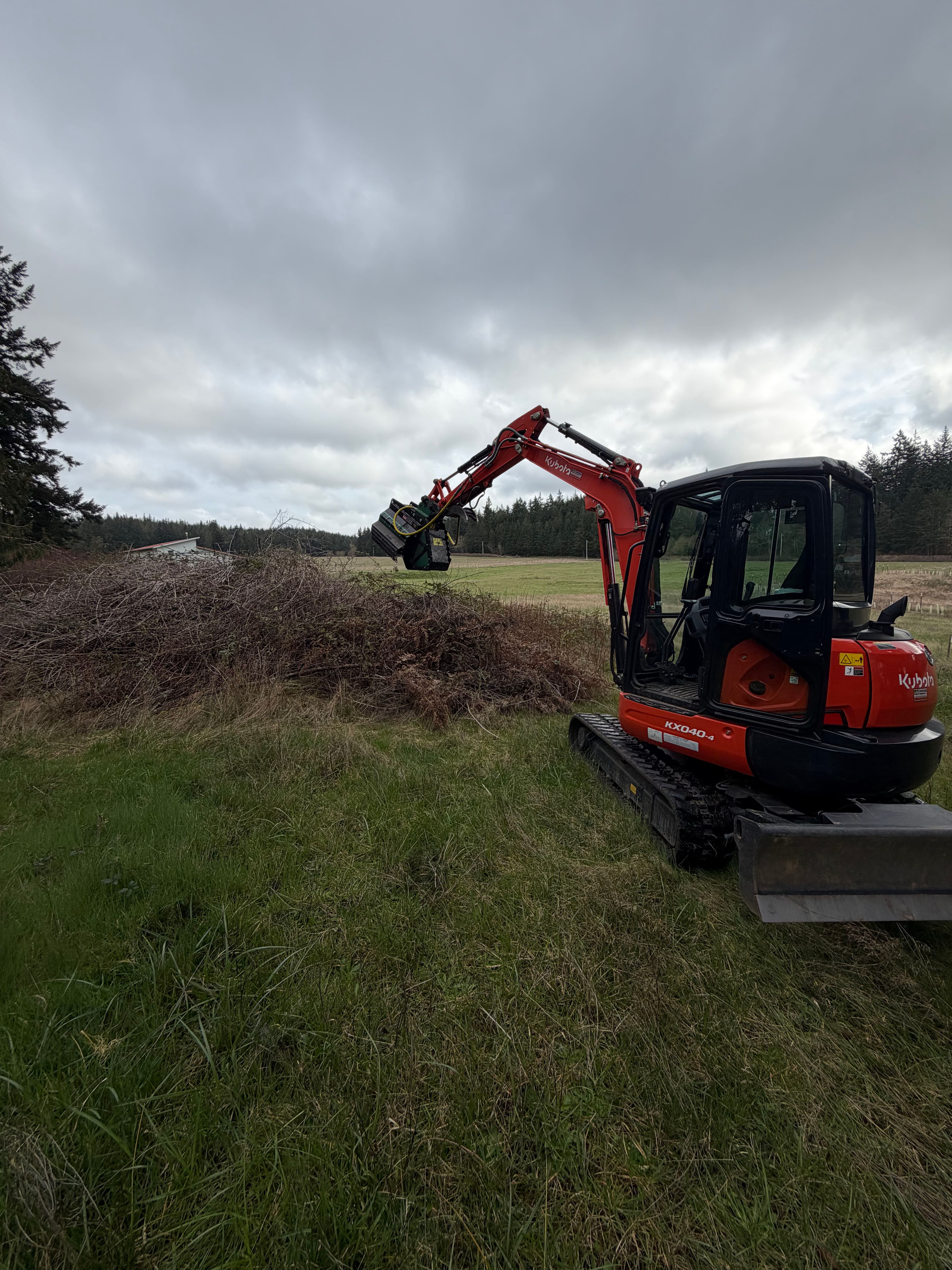 Project Clearing Blackberry Overgrowth on Whidbey Island image