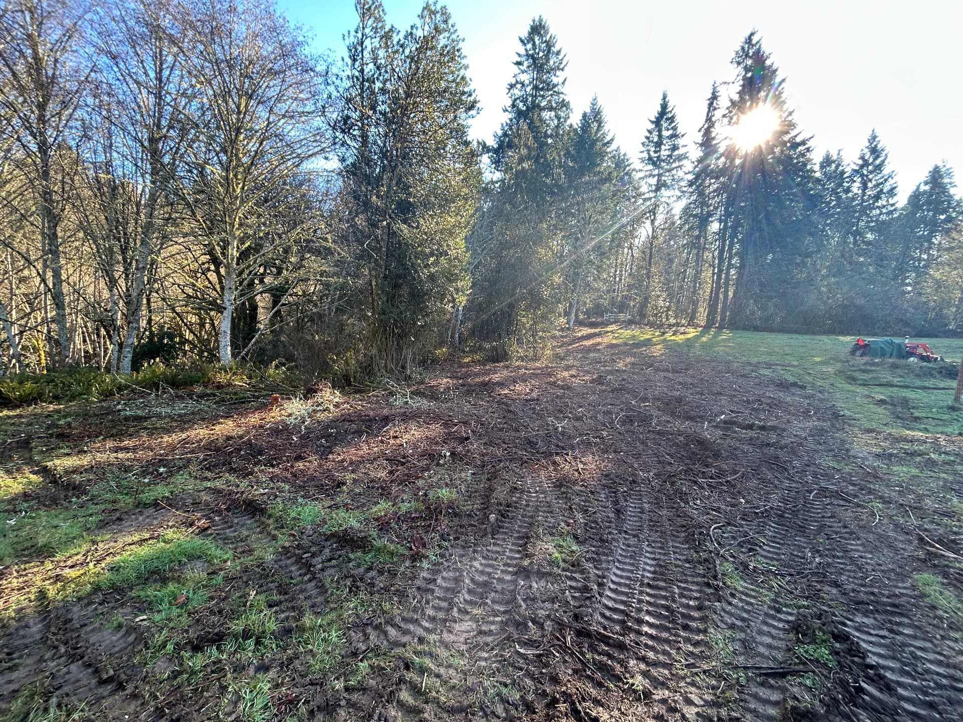 Gallery photos for Revamping Overgrown Spaces in Port Orchard: Image #5