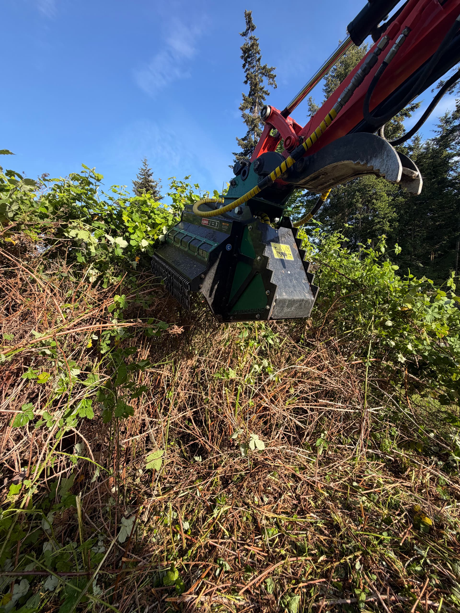 Gallery photos for Blackberry Bramble Cleared Away from an Access Road in Pt. Hadlock: Image #1