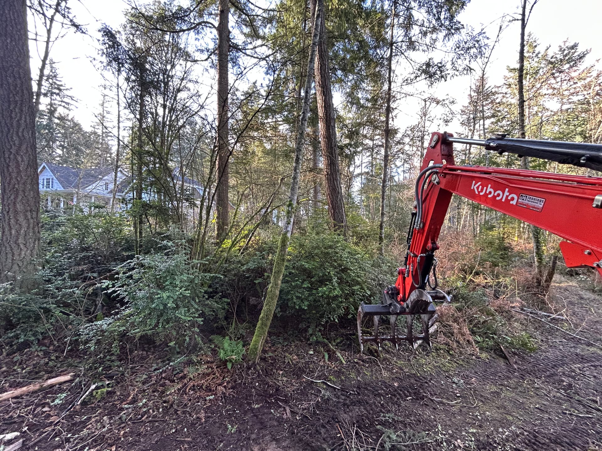Gallery photos for Land and Brush Clearing in Gig Harbor: Image #2