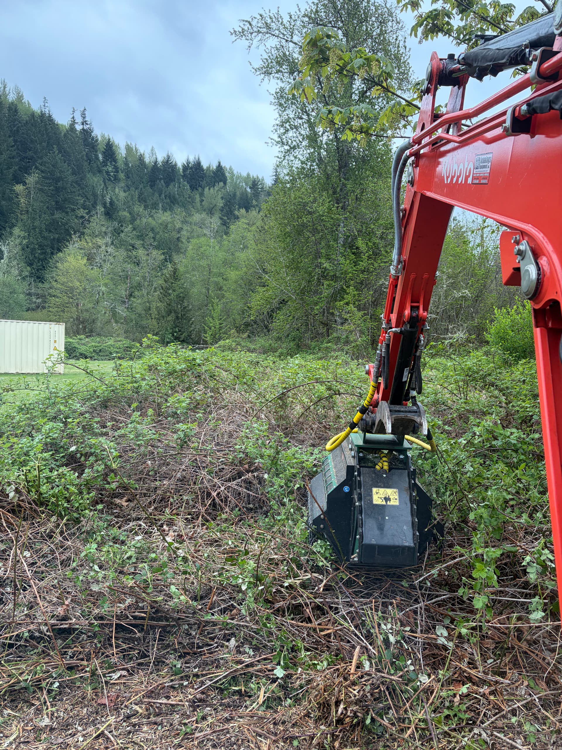 Blackberry Overgrowth Cleared for a New Home Build image