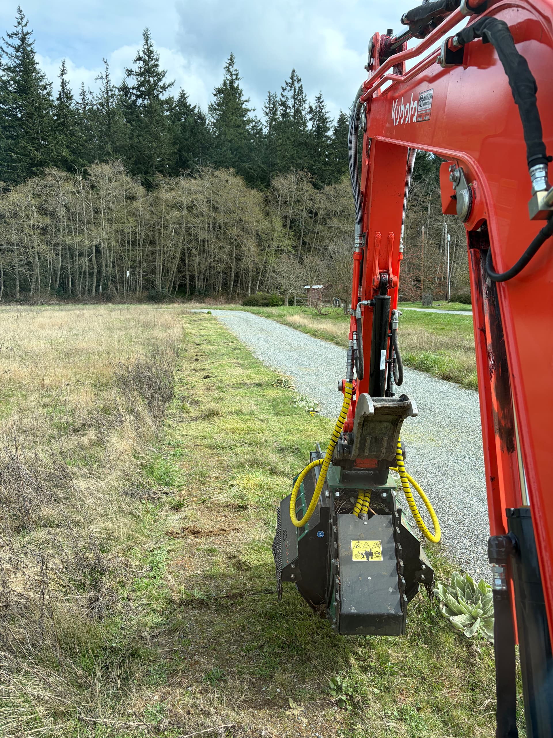 Gallery photos for Clearing Blackberry Overgrowth on Whidbey Island: Image #5