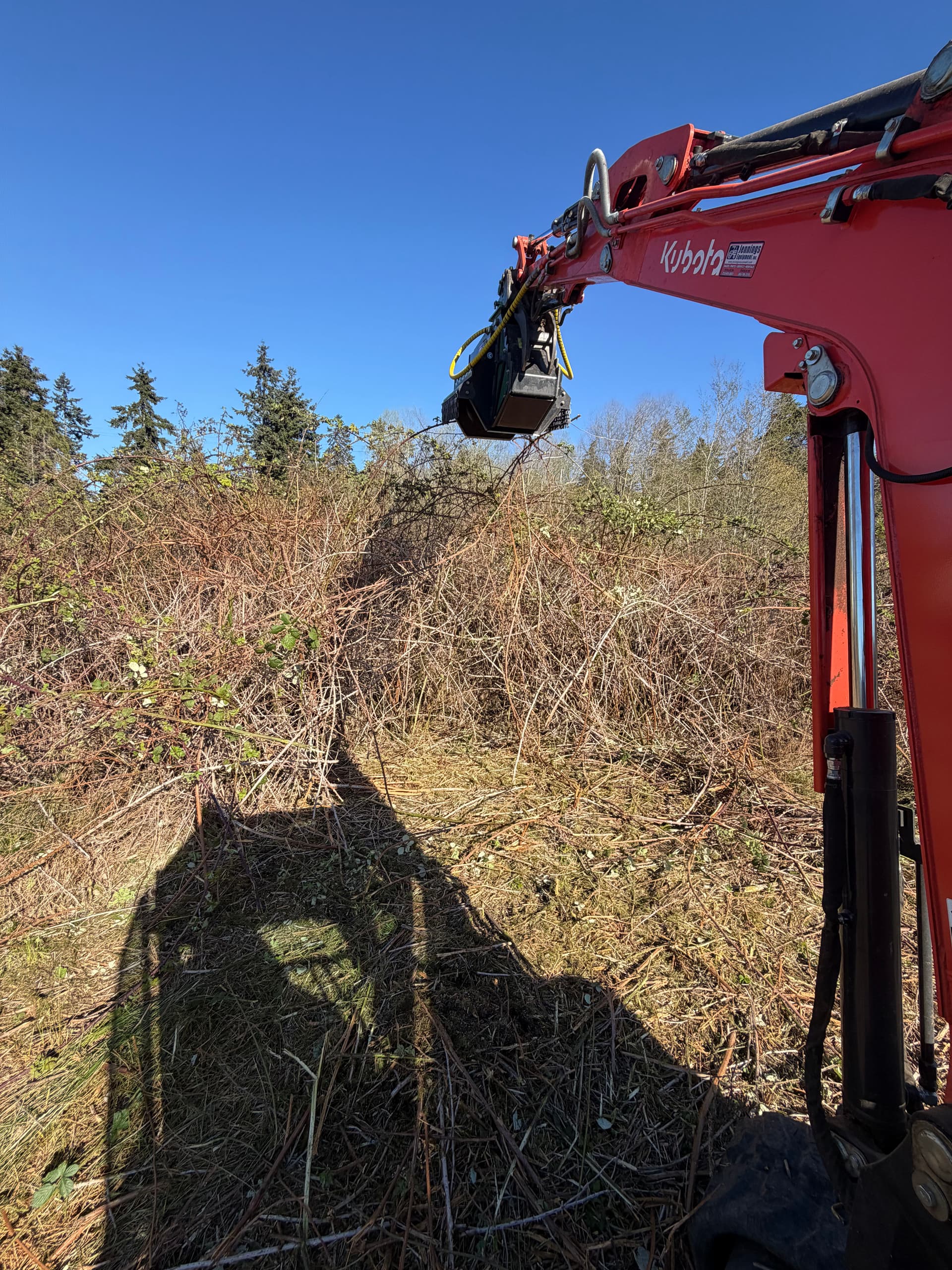 Gallery photos for 3 Acres of Blackberry Overgrowth Cleared in Port Hadlock: Image #1