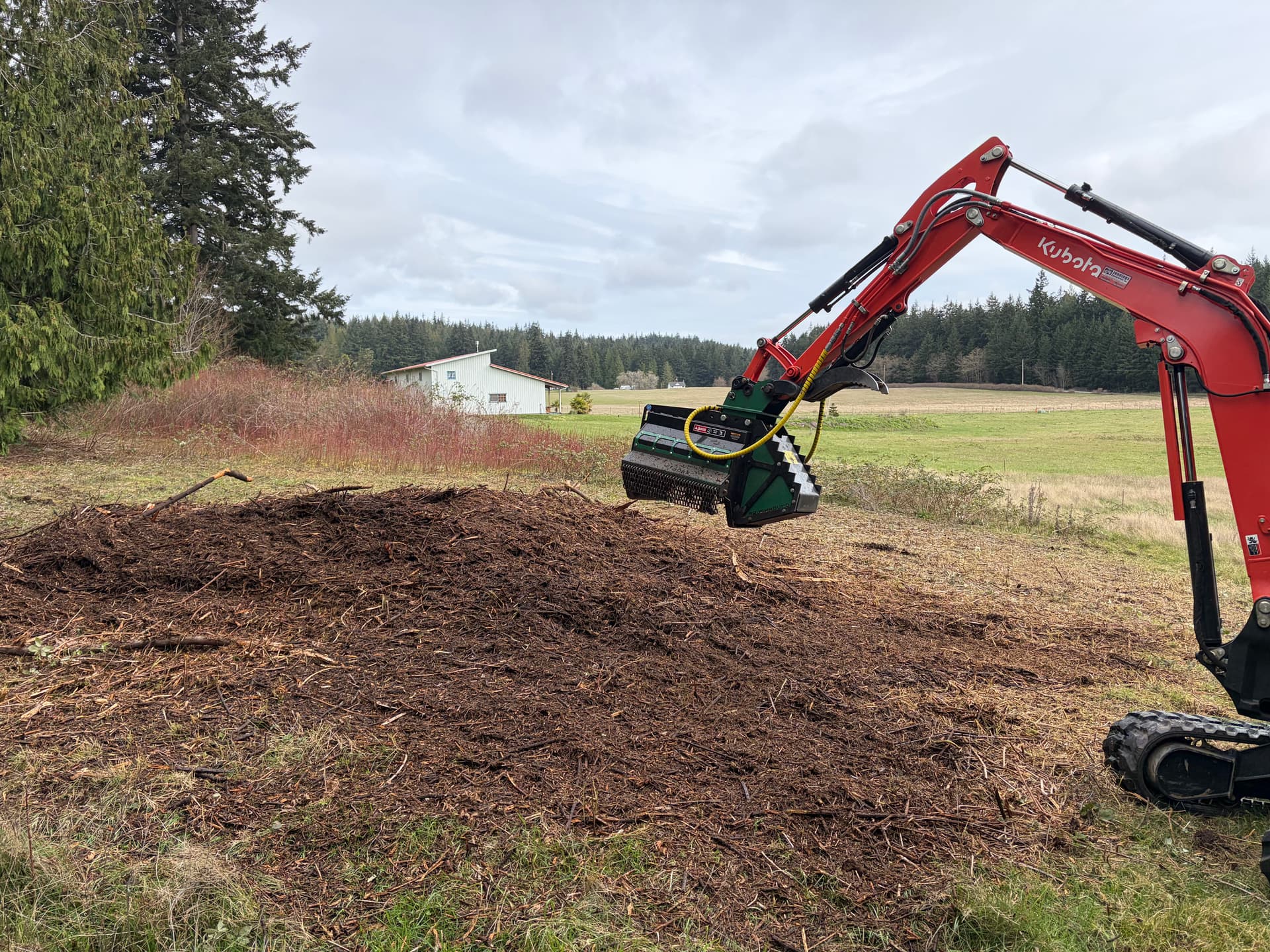 Gallery photos for Clearing Blackberry Overgrowth on Whidbey Island: Image #1