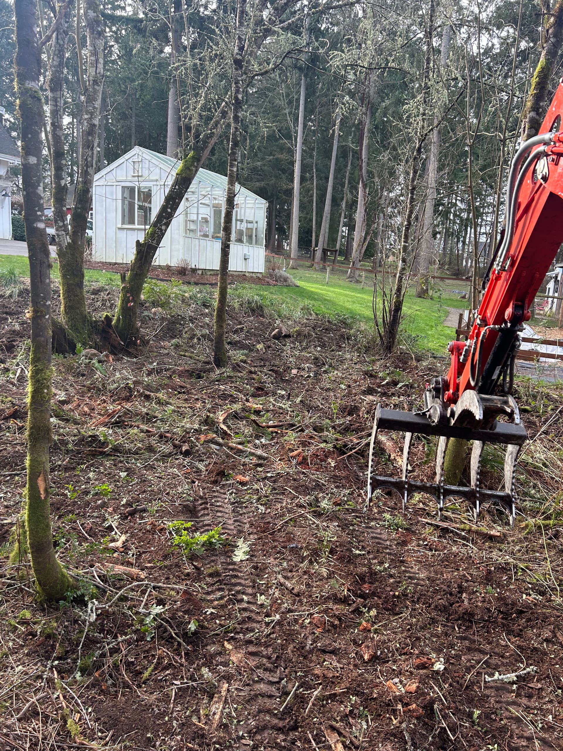 Gallery photos for Land and Brush Clearing in Gig Harbor: Image #3