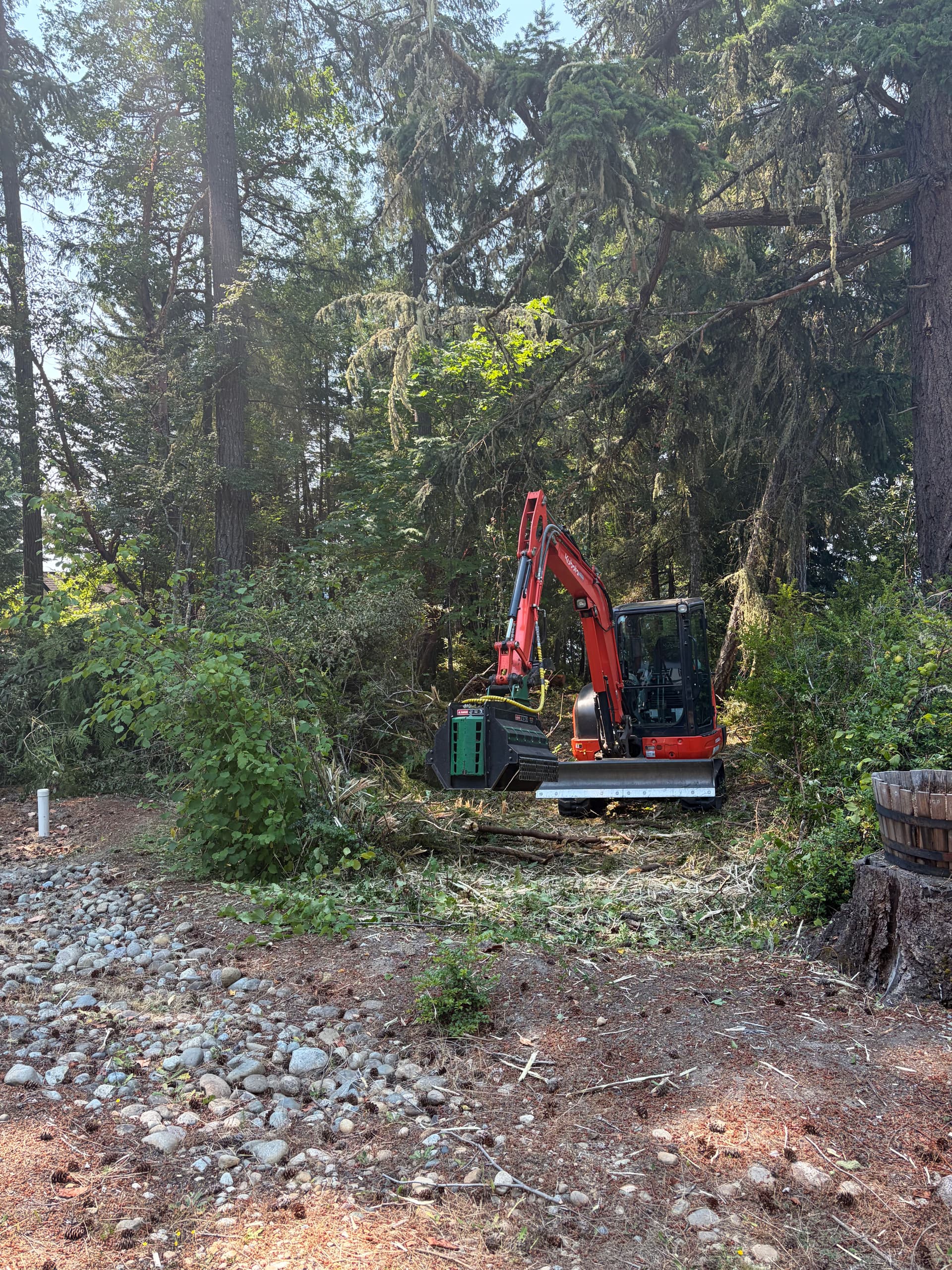 Gallery photos for Overgrown Lot Cleared and Ready in Longbranch WA: Image #2